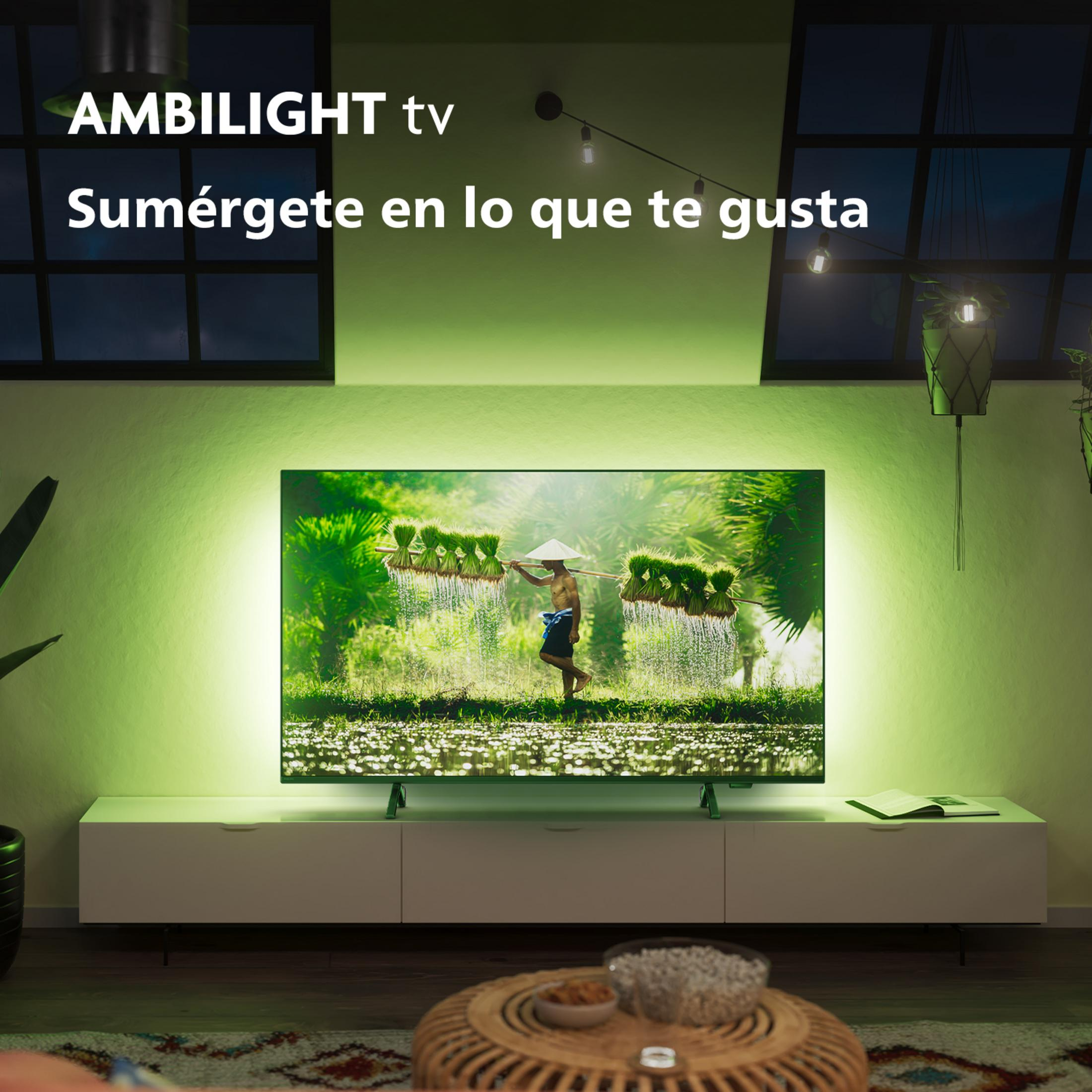 Un uomo con cappello porta piantine di riso in una risaia, illuminato da una TV.