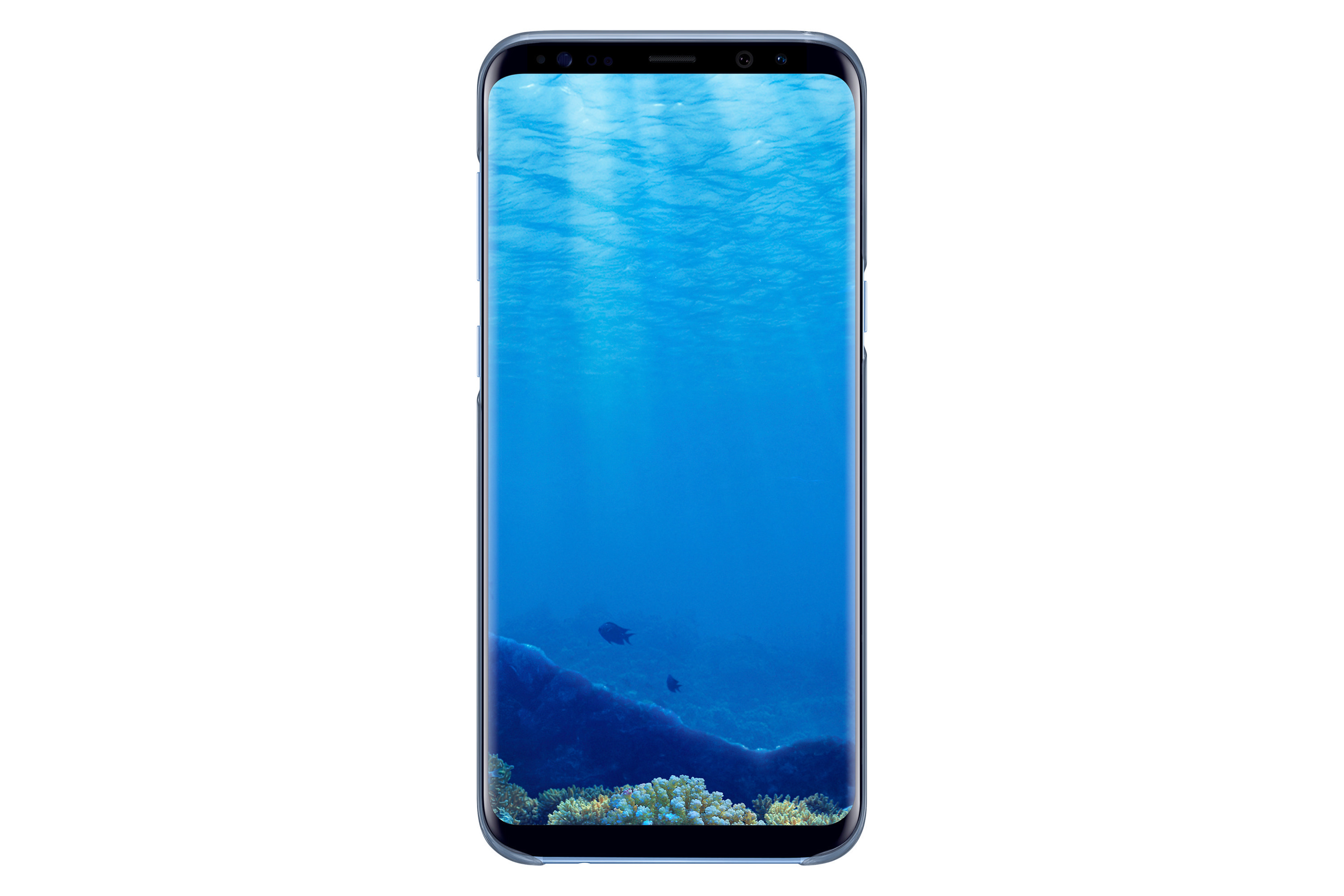 Smartphone con scena subacquea: coralli e pesci in acqua blu.