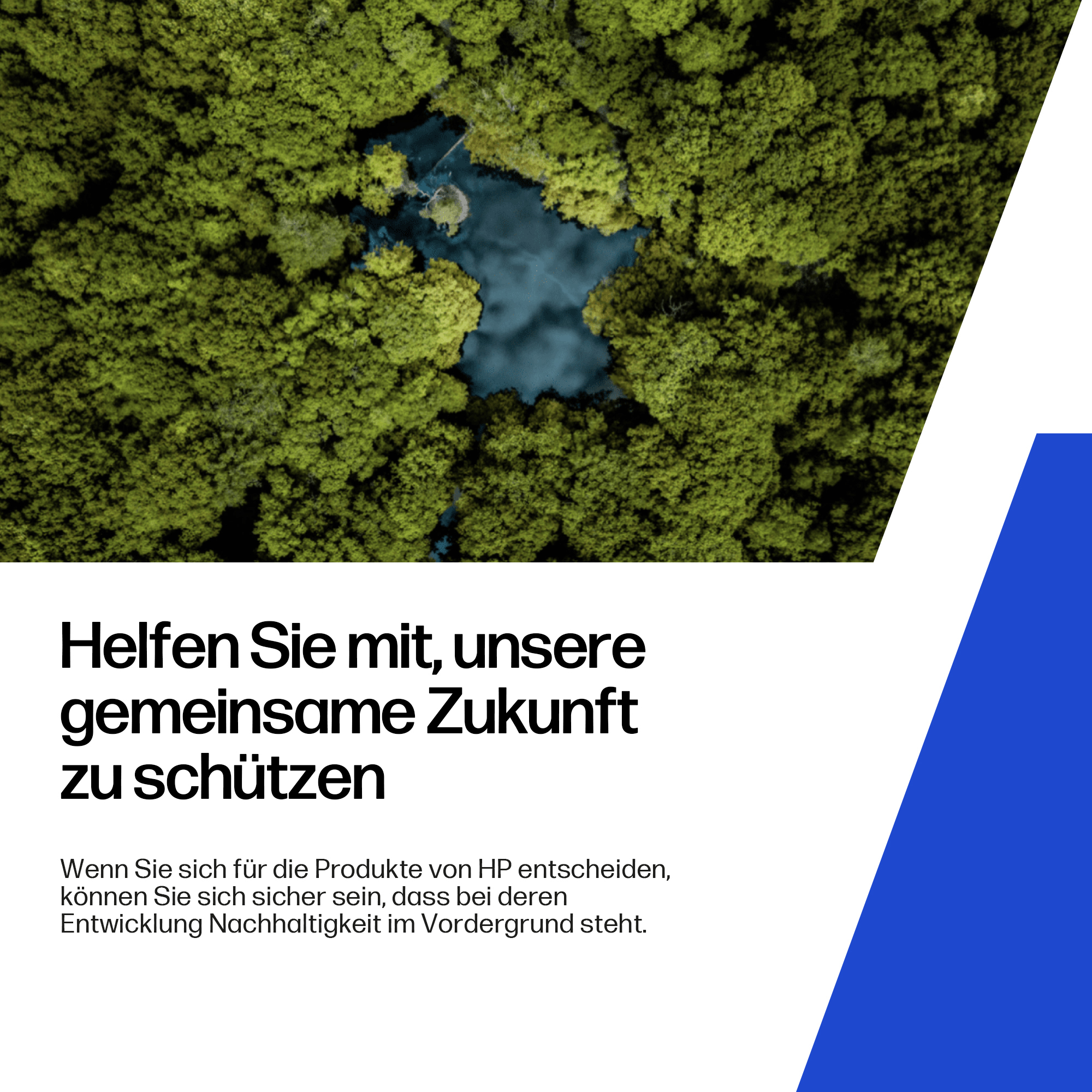Luftaufnahme eines Waldes mit einem dunklen Teich in der Mitte.