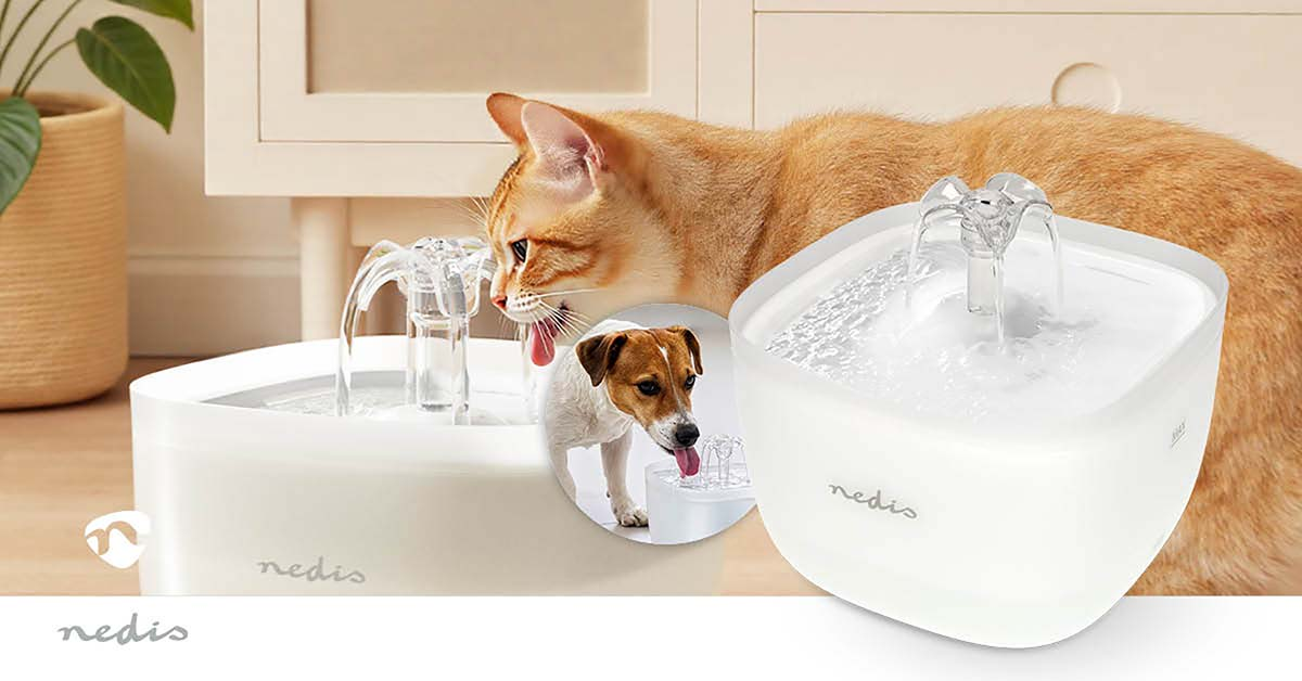 Een kat en hond drinken uit een witte waterfontein met meerdere spuitmonden.