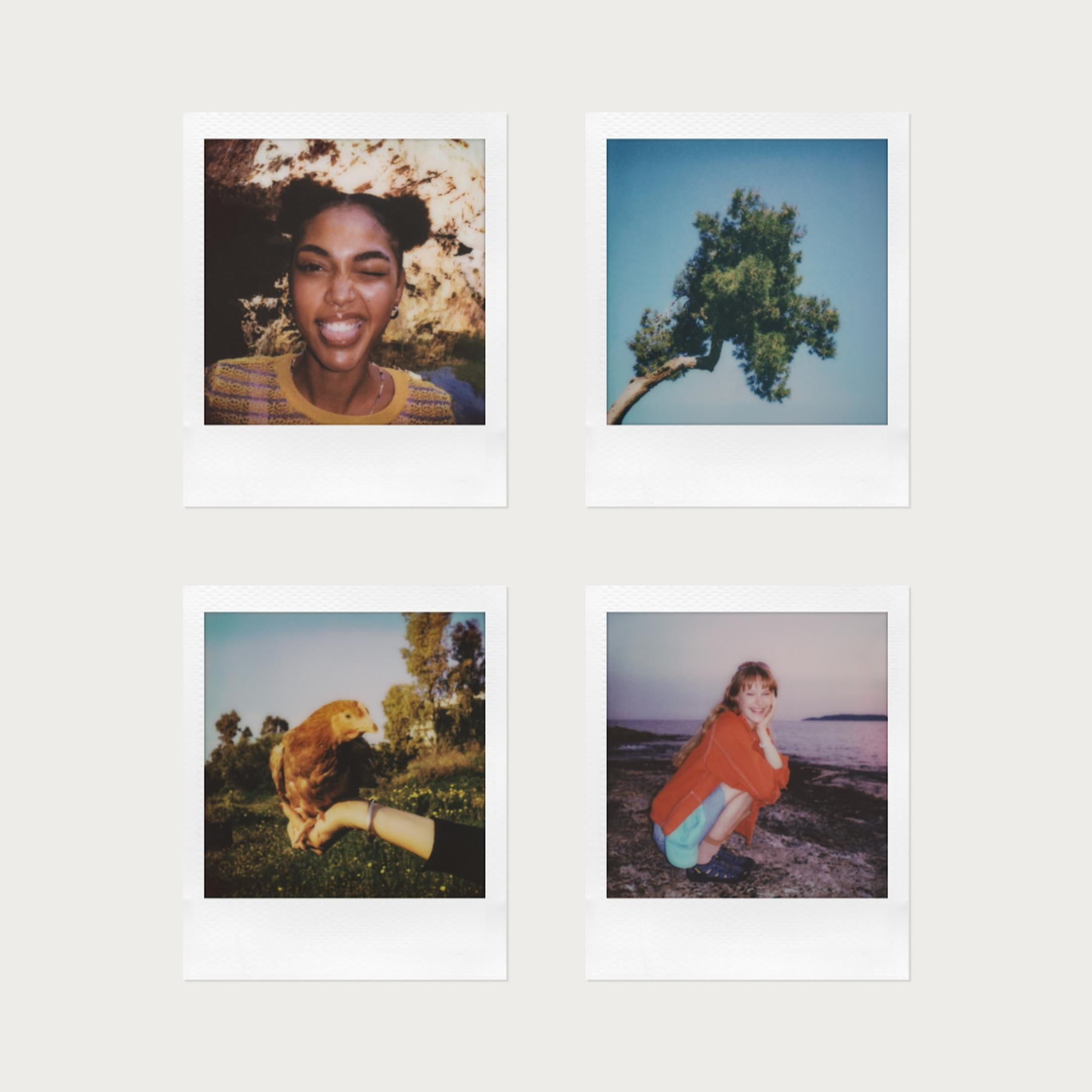 Vier Polaroidfotos: zwinkernde Frau, Baum gegen Himmel, Huhn in Händen, Mädchen am Meer.