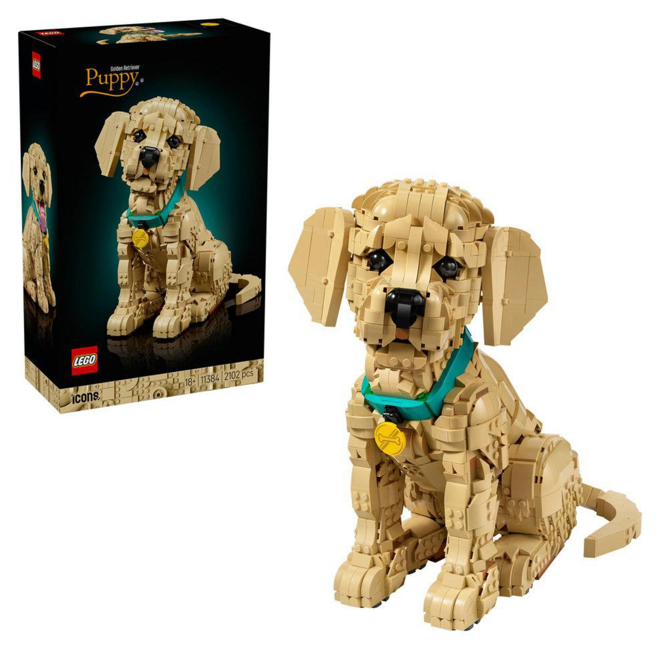 Un cucciolo di Golden Retriever Lego beige con collare turchese e medaglietta gialla seduto.
