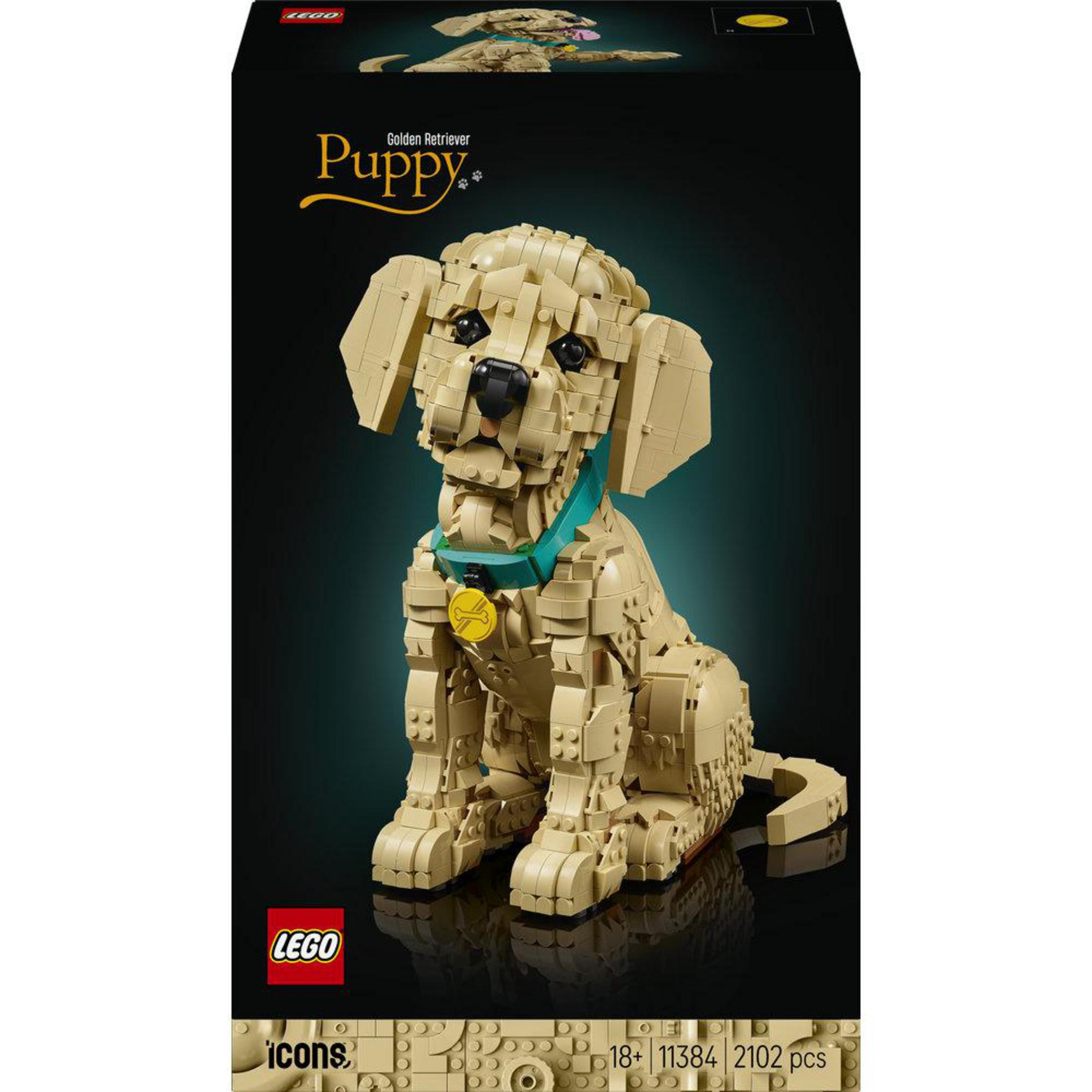 Scatola Lego per un modello di cucciolo di golden retriever. Il cucciolo è beige e indossa un collare turchese.