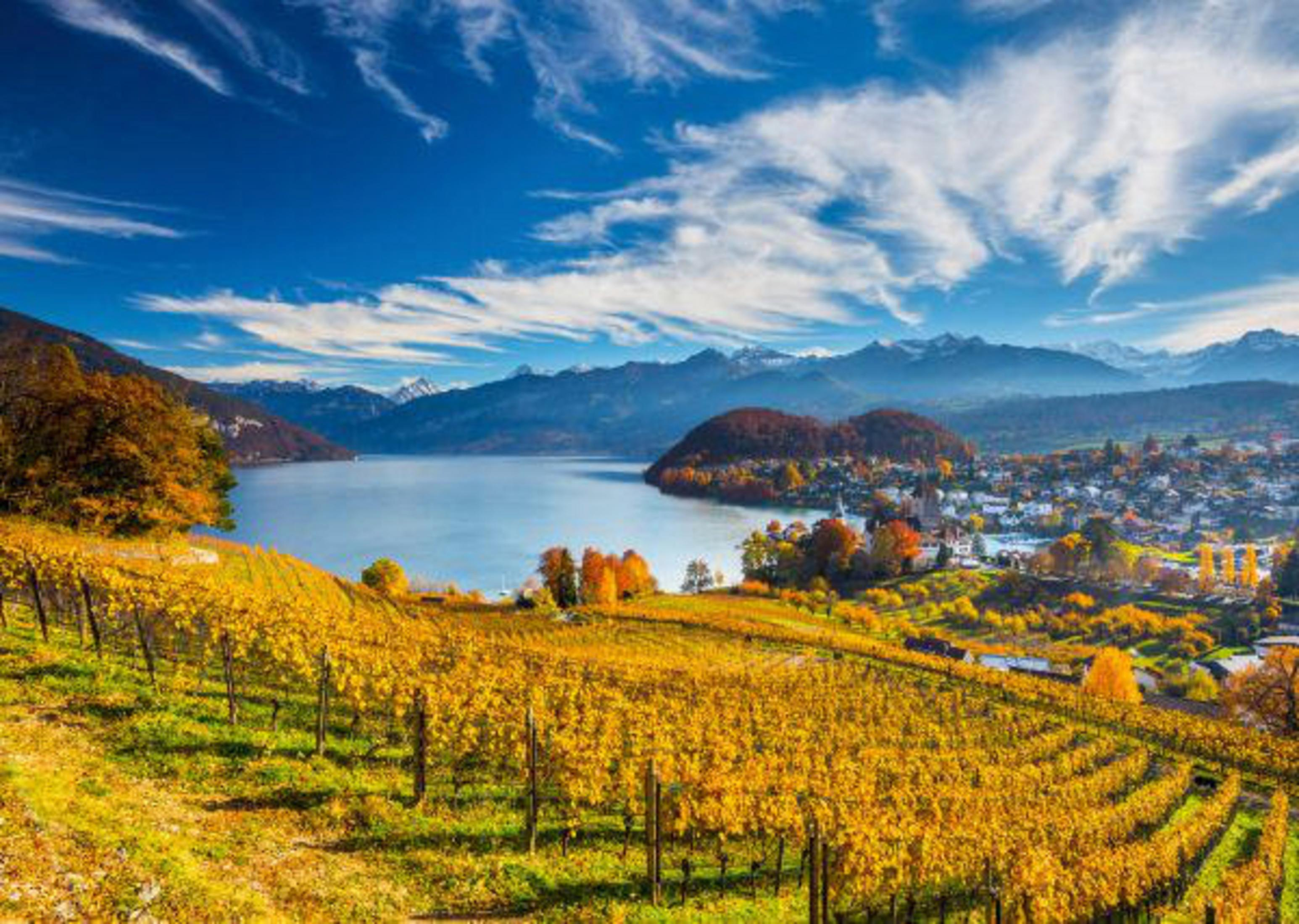Gelbe Weinreben im Herbst vor einem See und Bergen unter blauem Himmel mit Wolken.