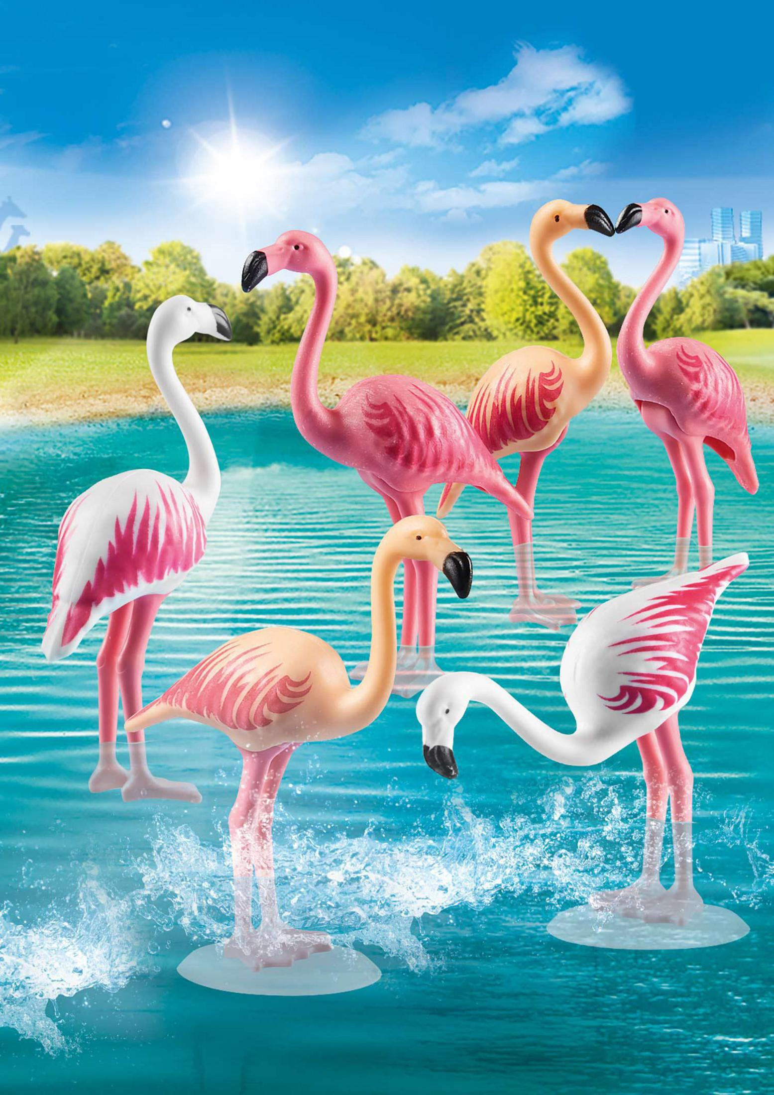 Sechs Flamingos, drei rosa, zwei hellrosa und einer weiß, stehen im Wasser.