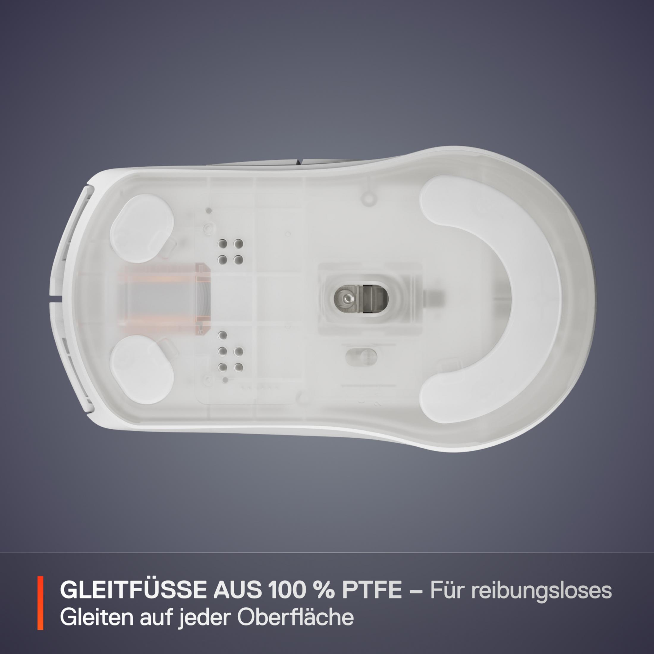 Unterseite einer weißen Maus mit transparenten Gleitfüßen aus PTFE.