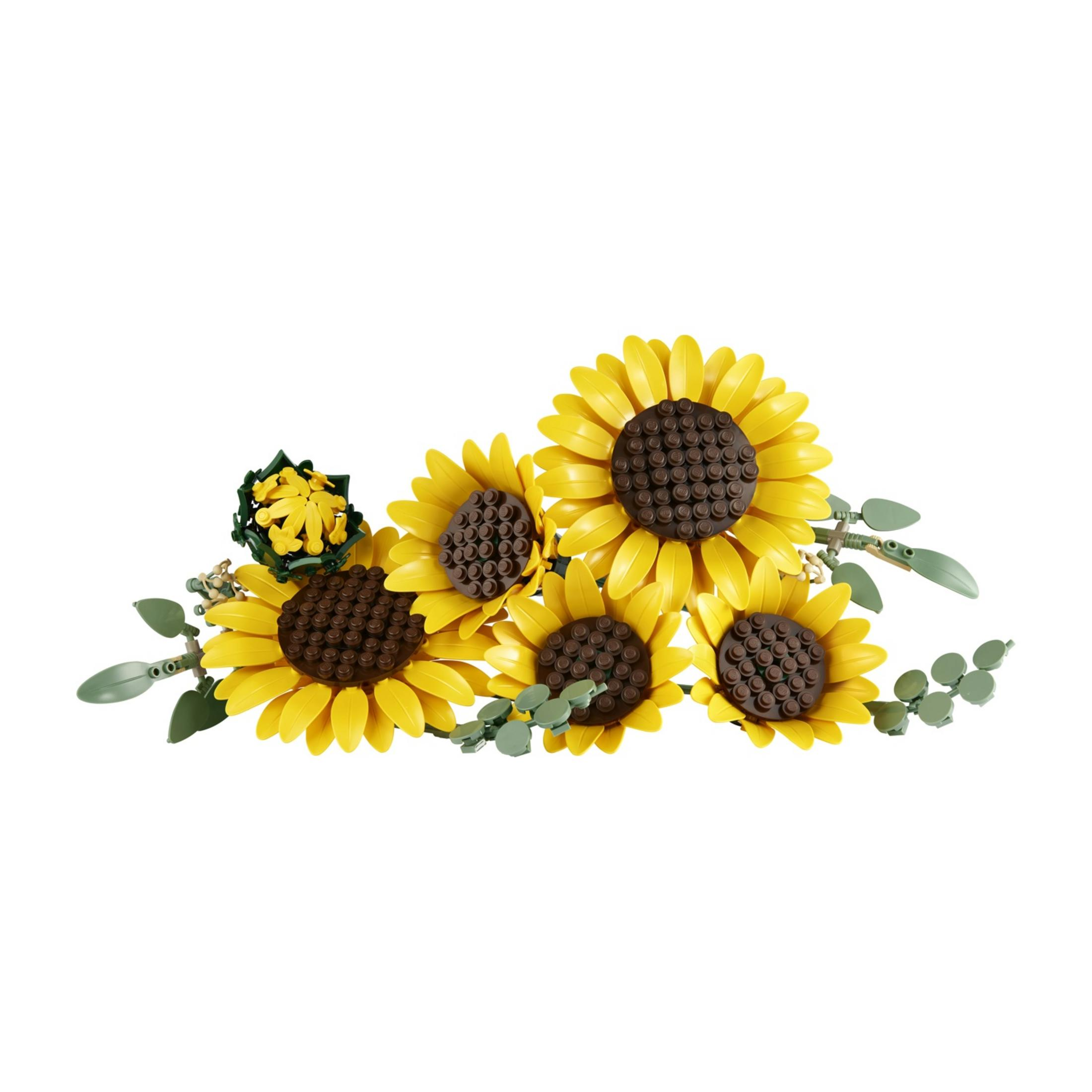 Cinque girasoli gialli con centri marroni, circondati da foglie verdi.