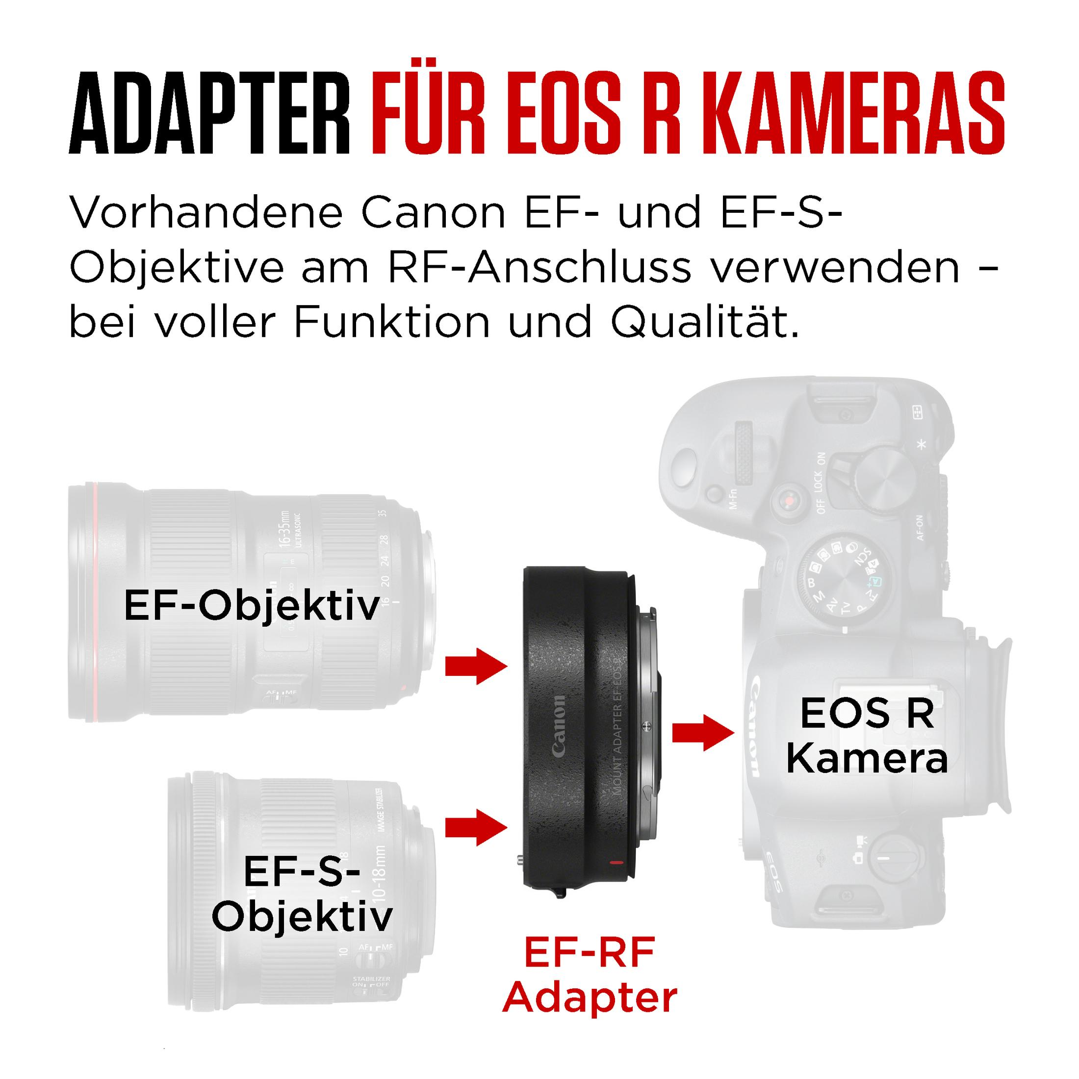 Un obiettivo Canon EF ed EF-S si collega a una fotocamera EOS R tramite un adattatore EF-RF.