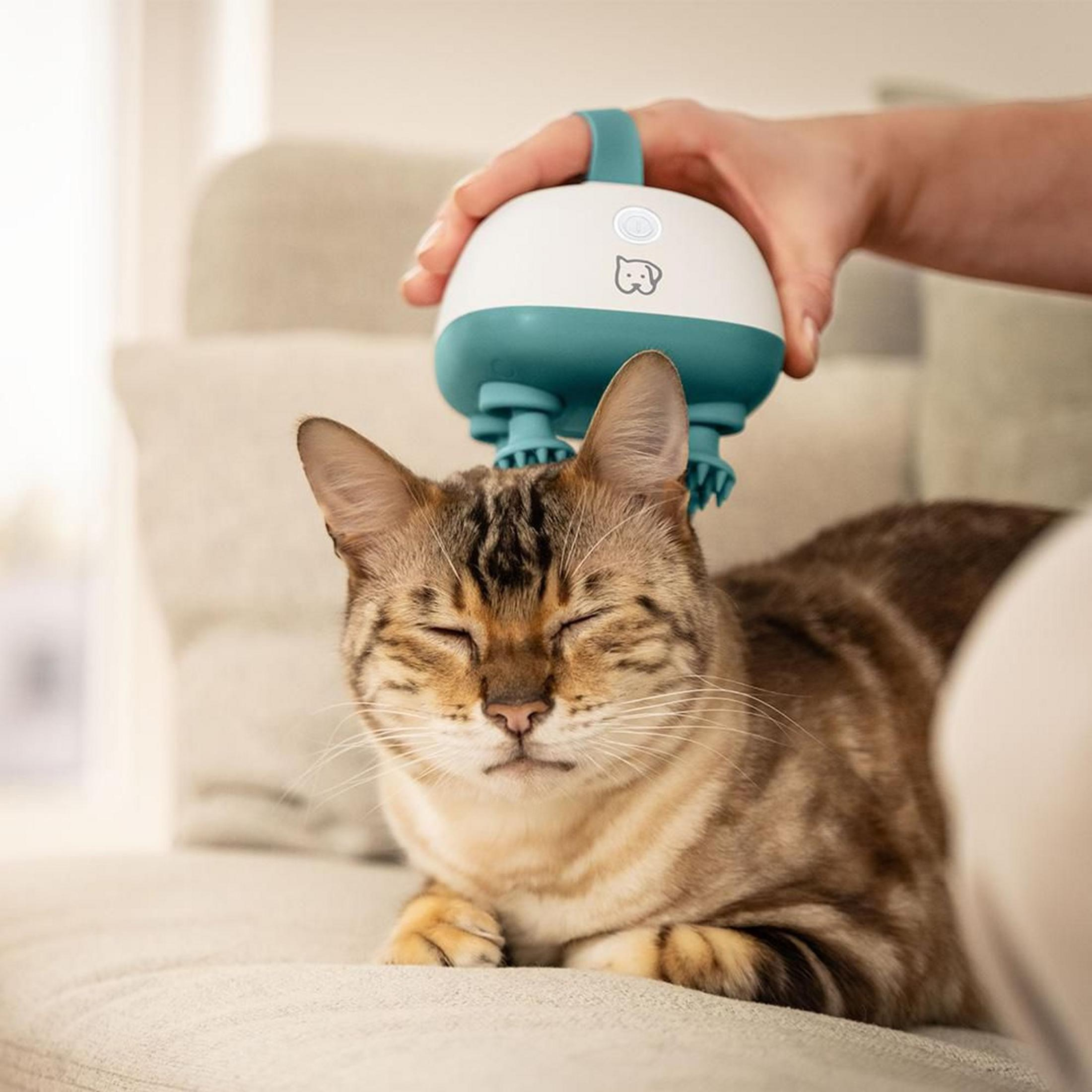 Eine Hand hält einen weiß-türkisfarbenen Katzenmassagegerät über eine schlafende Katze.