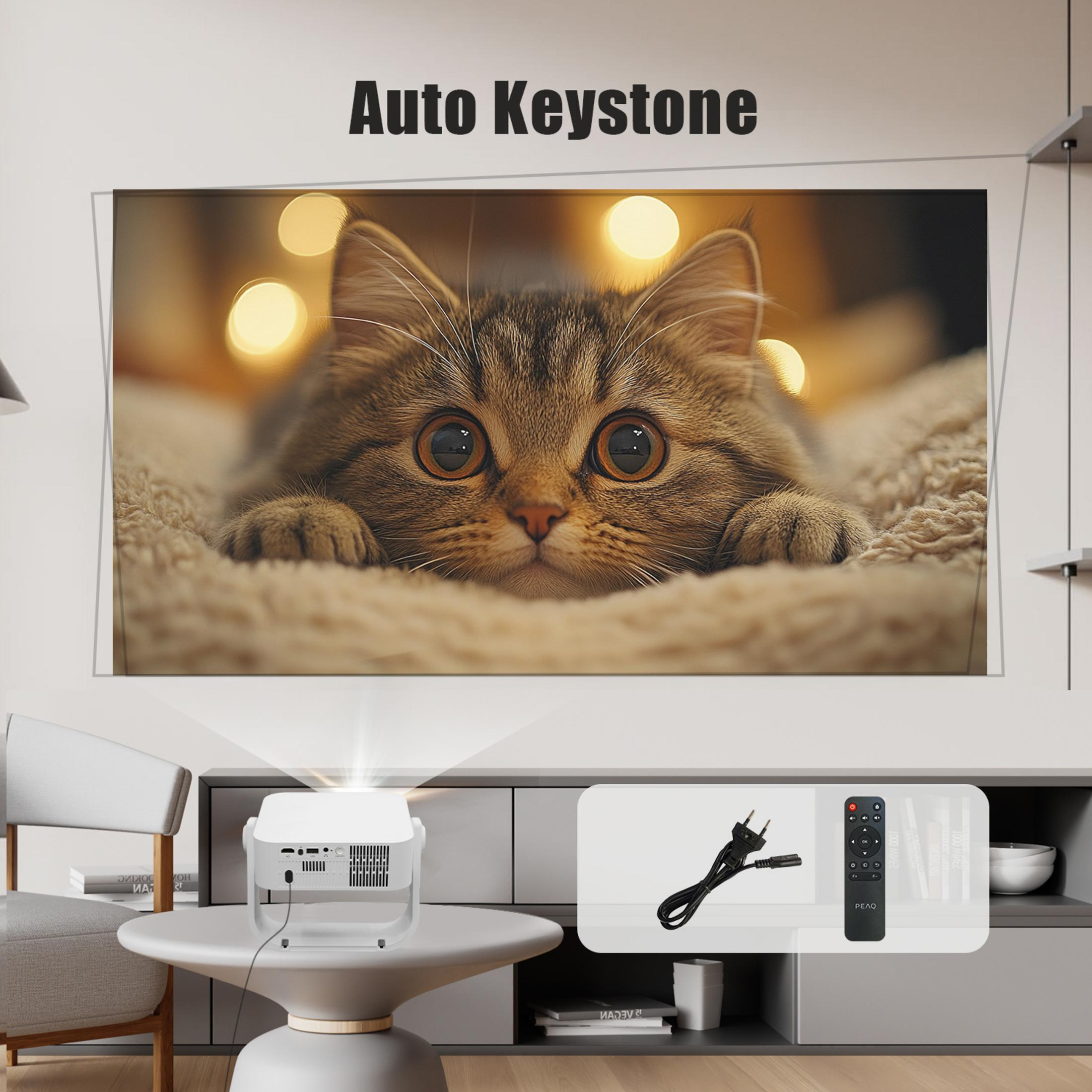 Ein Projektor projiziert ein Bild einer Katze. Zubehör ist sichtbar.