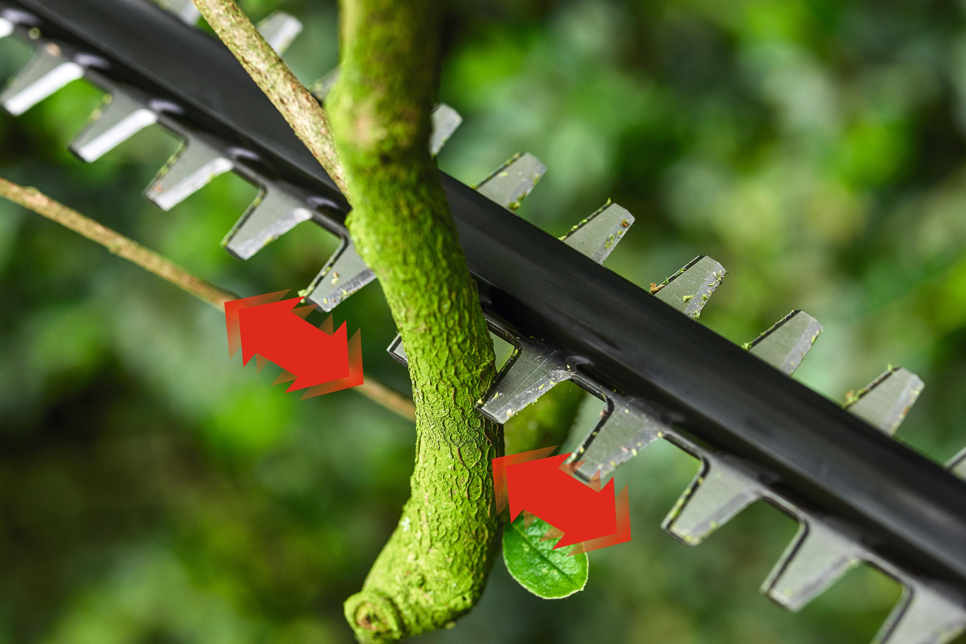 Zwarte heggenschaar bladen snijden groene tak. Rode pijlen.