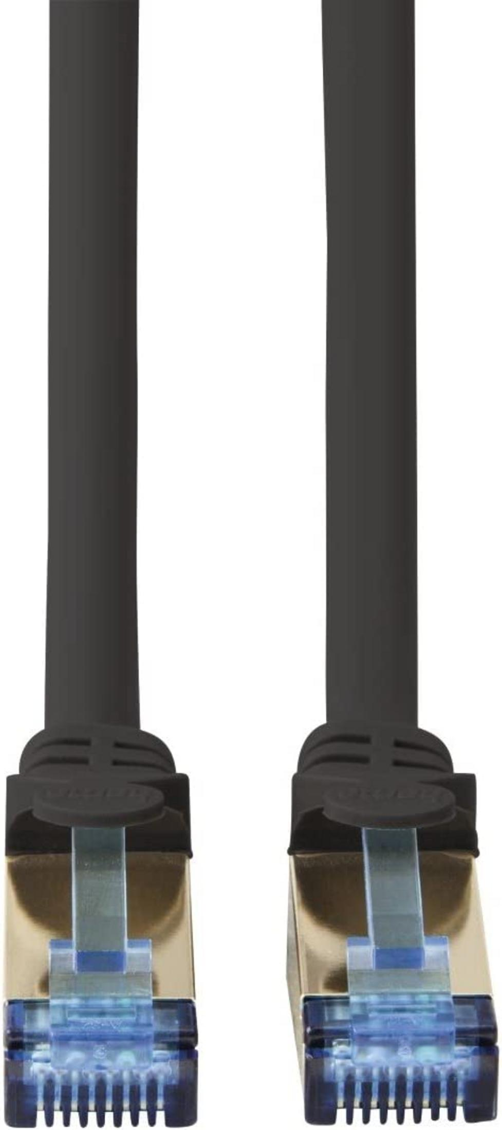 Due cavi Ethernet neri con connettori dorati e inserti blu.