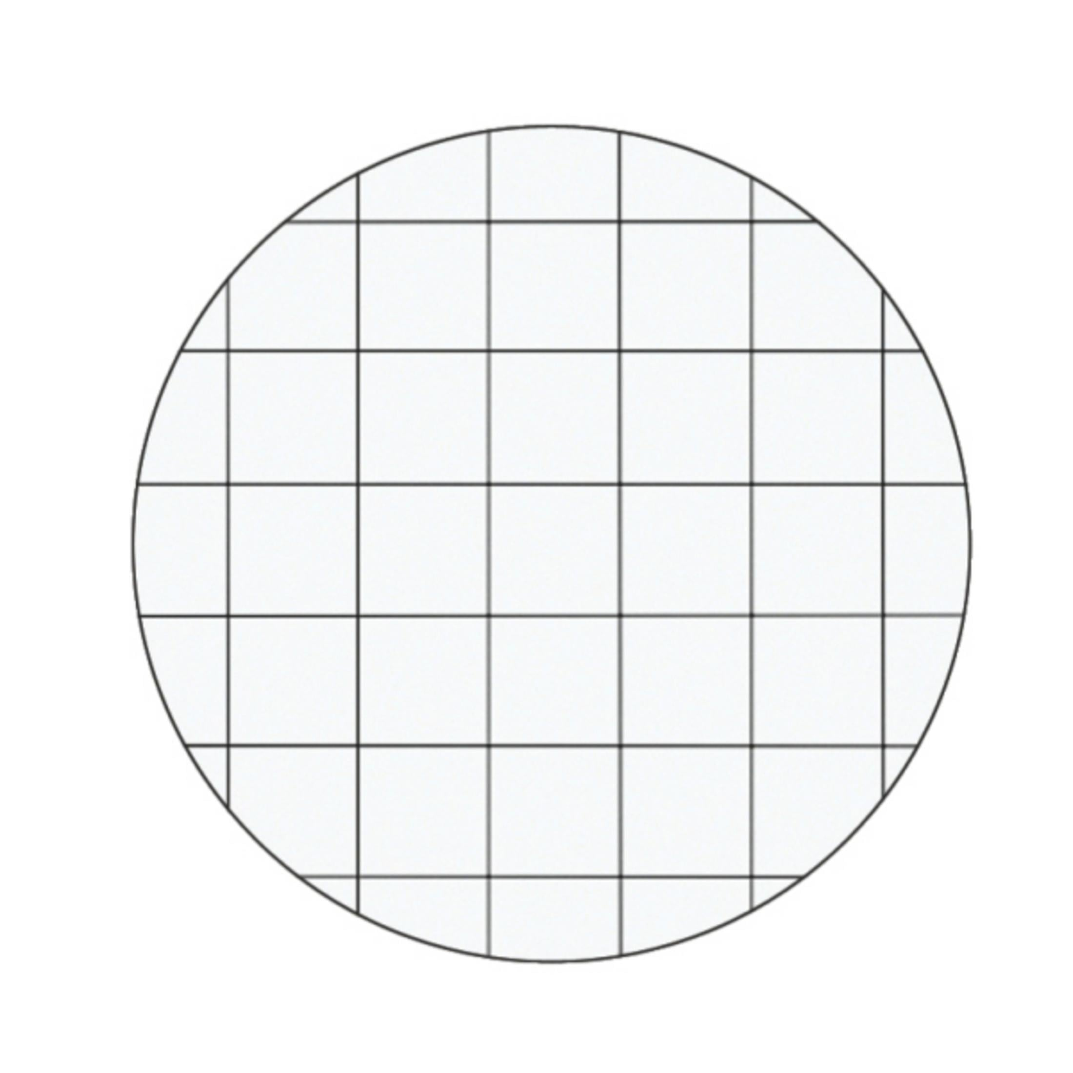 Ein Kreis, unterteilt in ein Gitter aus kleinen Quadraten.