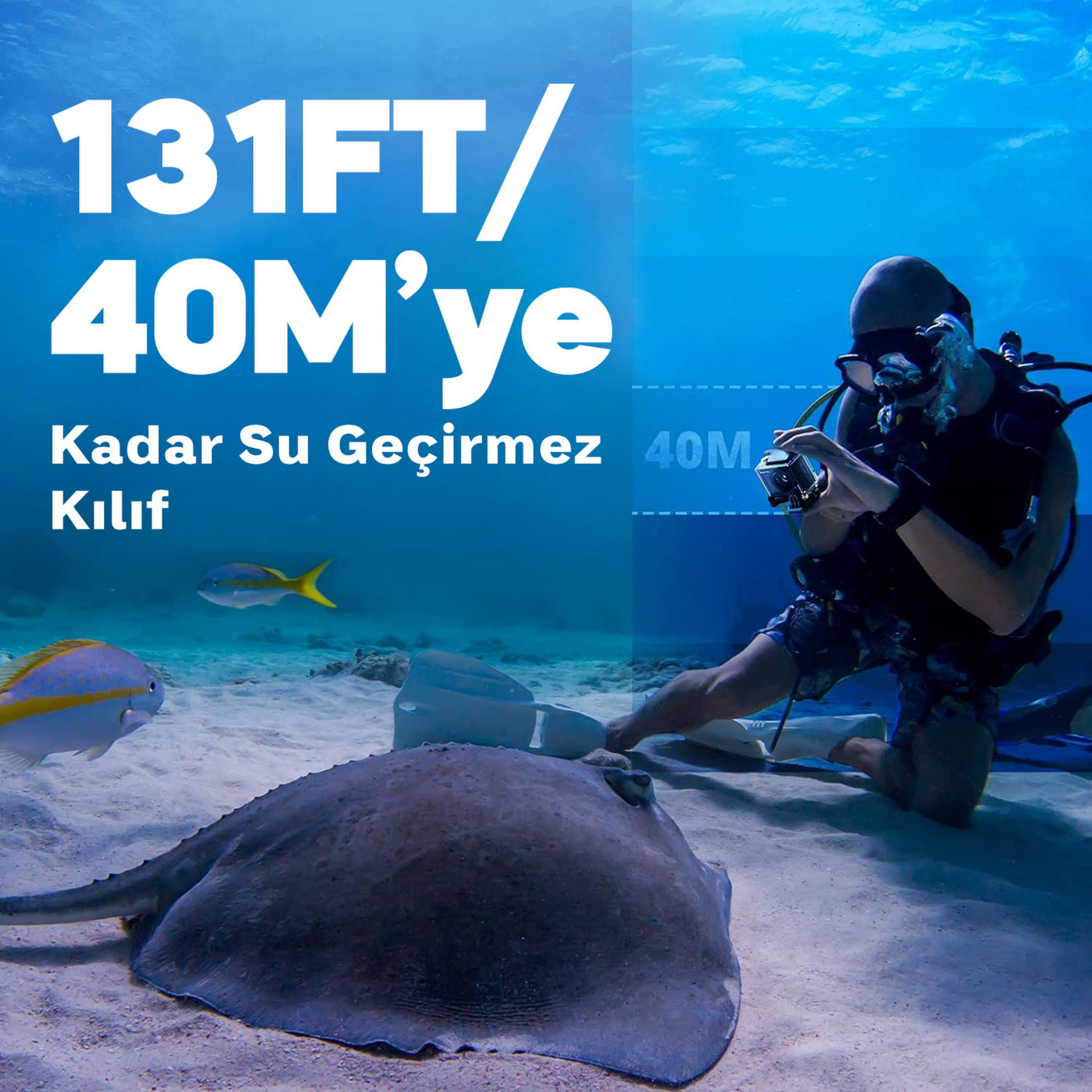 Bir dalgıç, bir vatoz ve balıkların yakınında su altında kamera tutuyor.