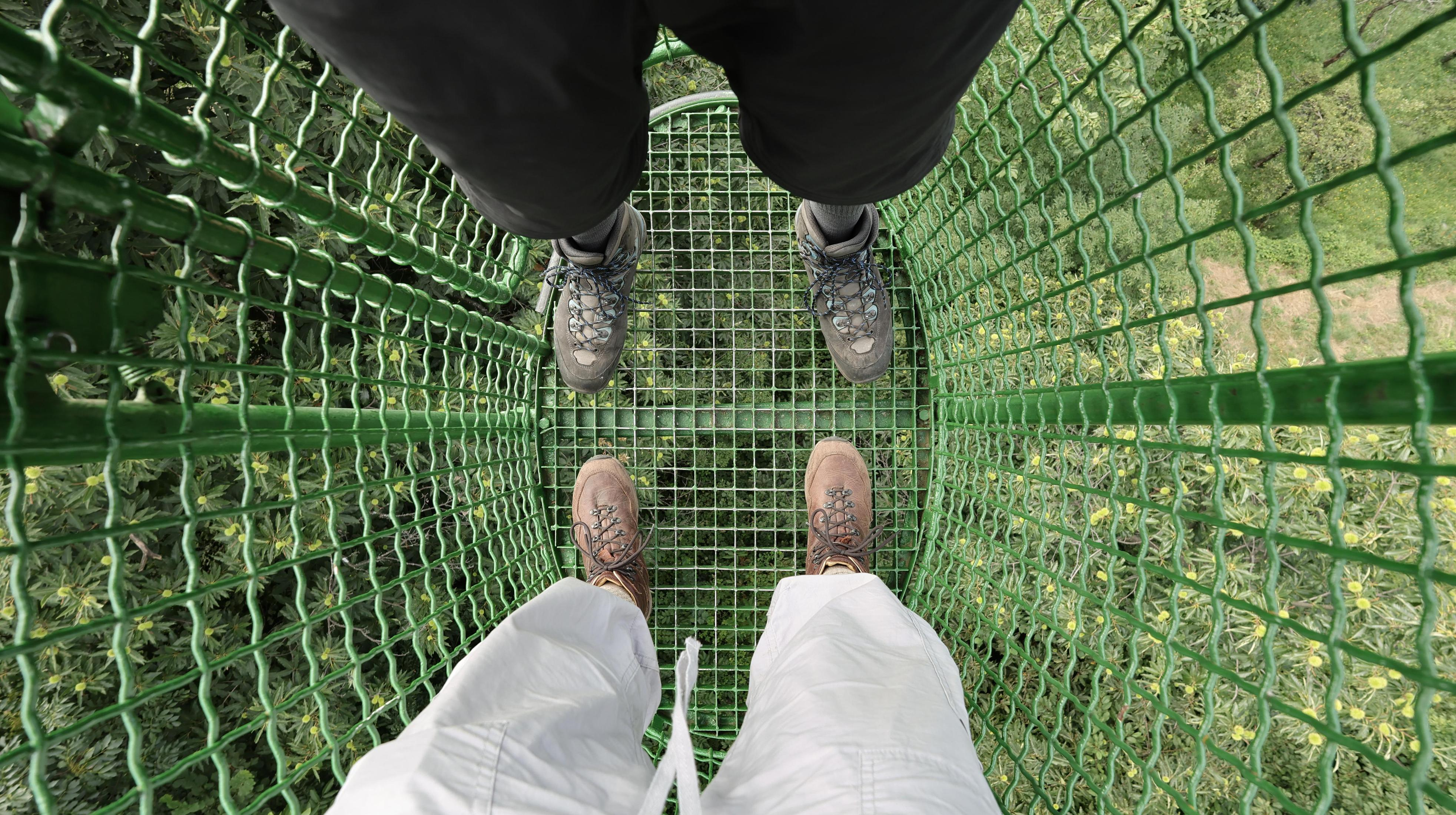 Due persone in piedi su una passerella a griglia metallica verde sopra la vegetazione lussureggiante.