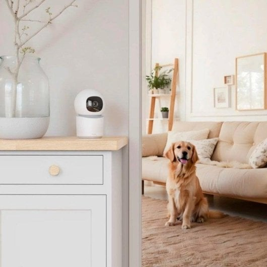 Un golden retriever seduto su un tappeto davanti a un divano, con una telecamera di sicurezza bianca su un tavolo.