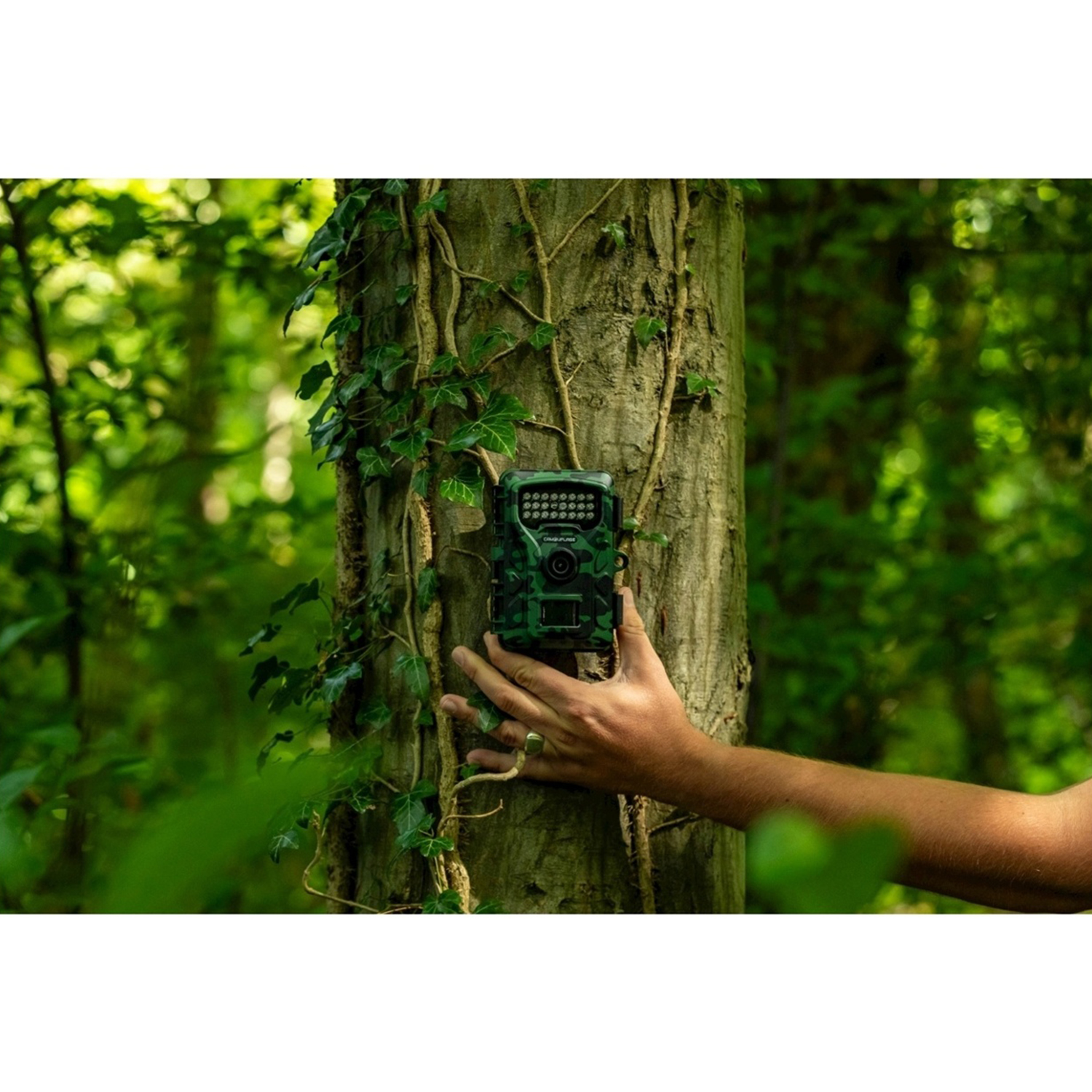 Una mano tiene una fototrappola mimetica verde su un albero in una foresta lussureggiante.