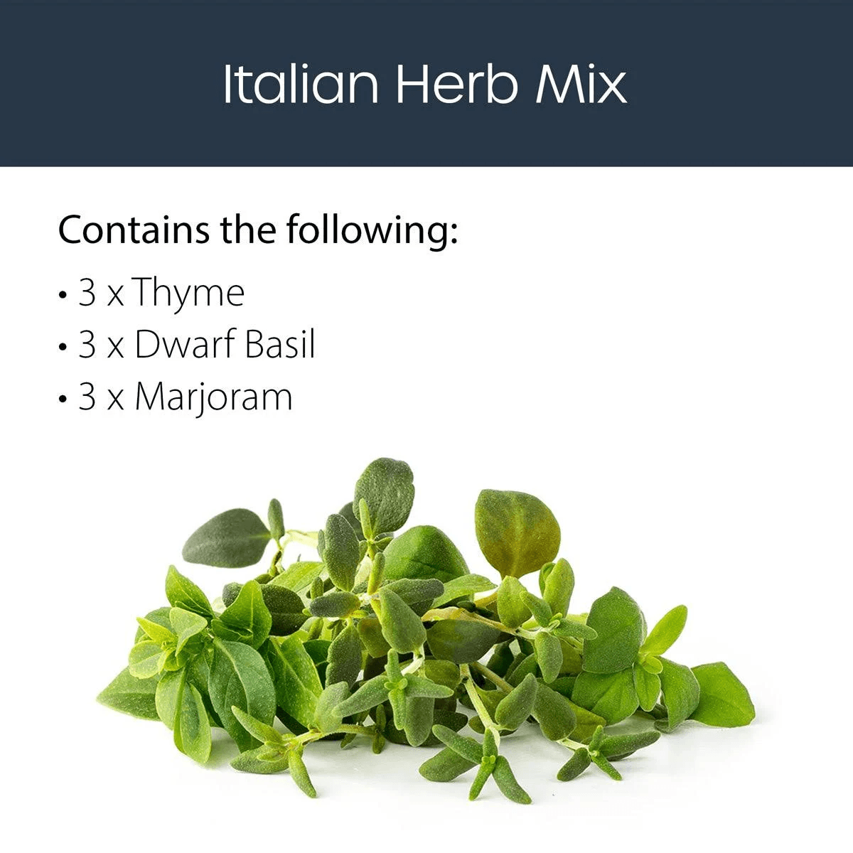 Mix di erbe italiane con timo, basilico nano e maggiorana.