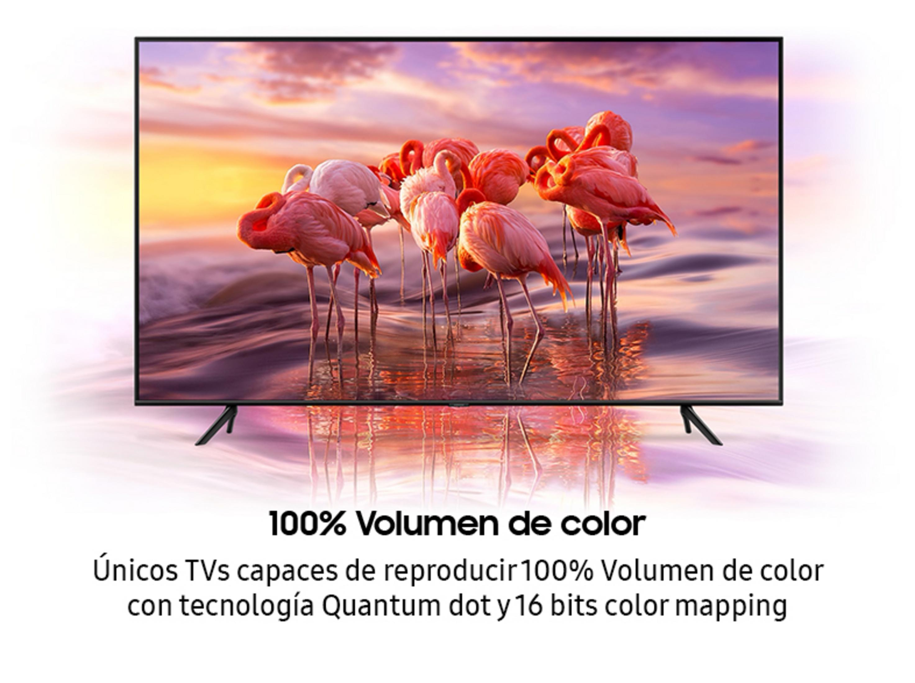 Ein Fernsehbildschirm zeigt eine Gruppe von Flamingos im Wasser bei Sonnenuntergang.