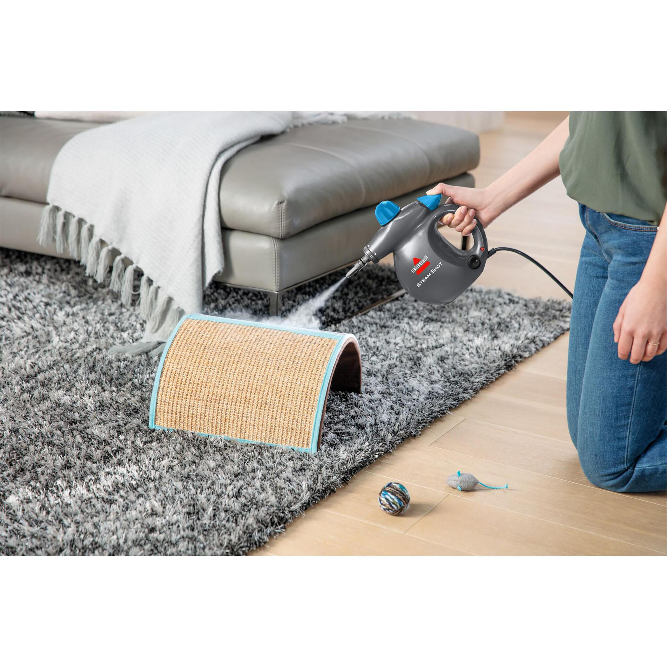 Eine Person reinigt mit einem Dampfgerät einen Teppich in der Nähe eines Sofas.