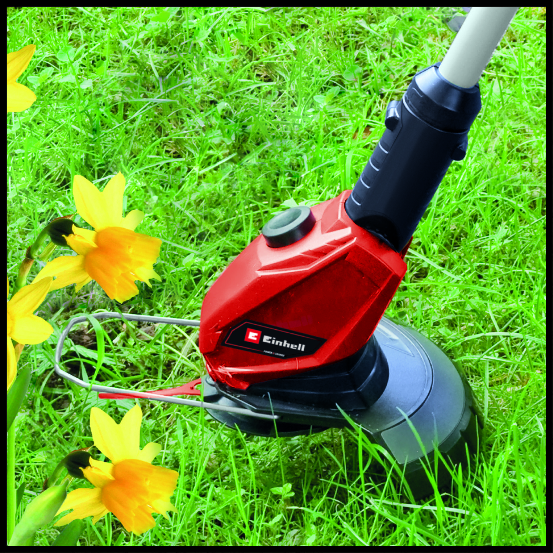 Ein roter Rasentrimmer mit schwarzem Griff steht auf grünem Gras neben gelben Narzissen.