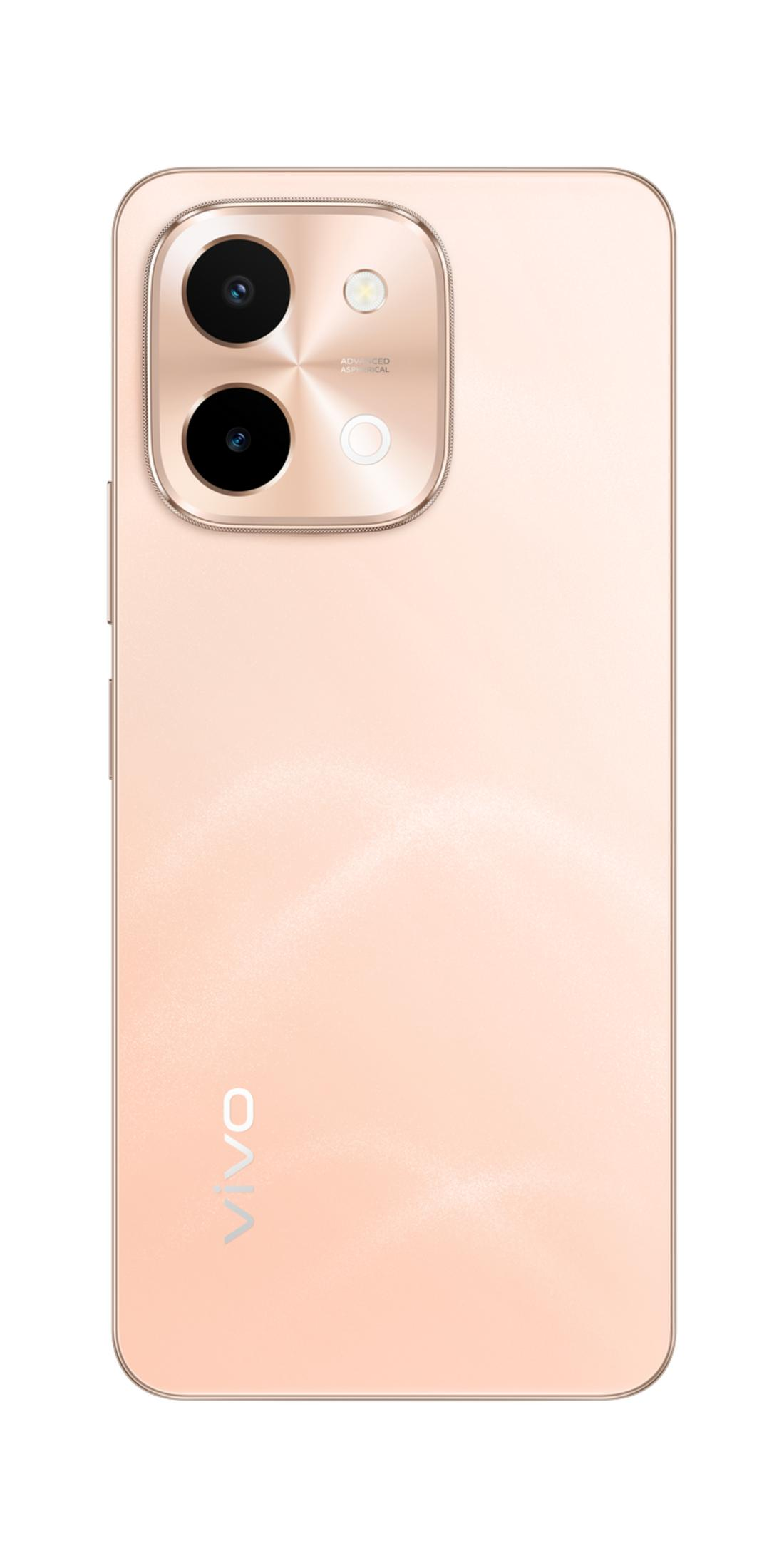 Retro di uno smartphone color pesca con doppia fotocamera e logo VIVO.