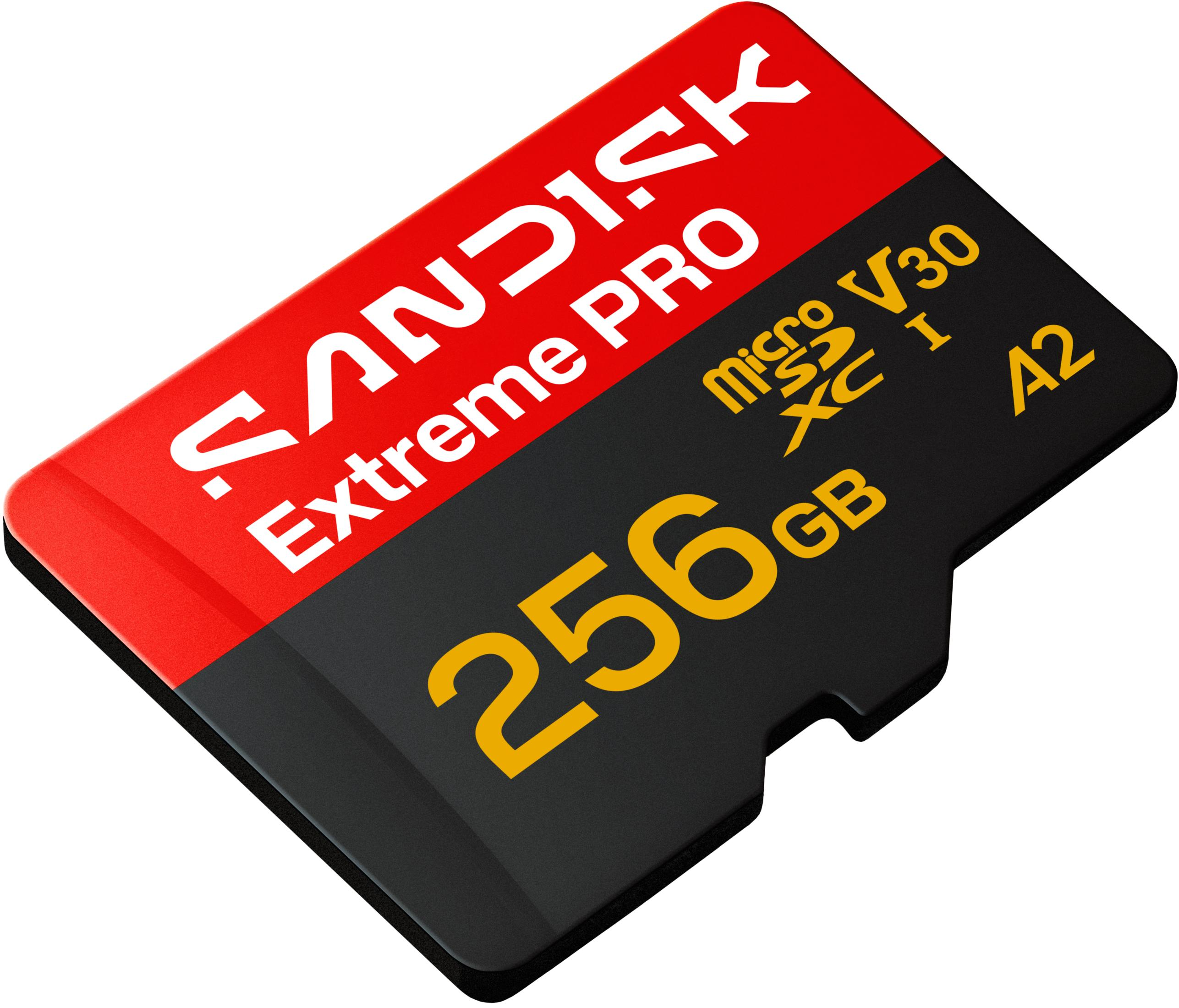 Carte mémoire SanDisk Extreme PRO MicroSDXC I A2 256 Go.