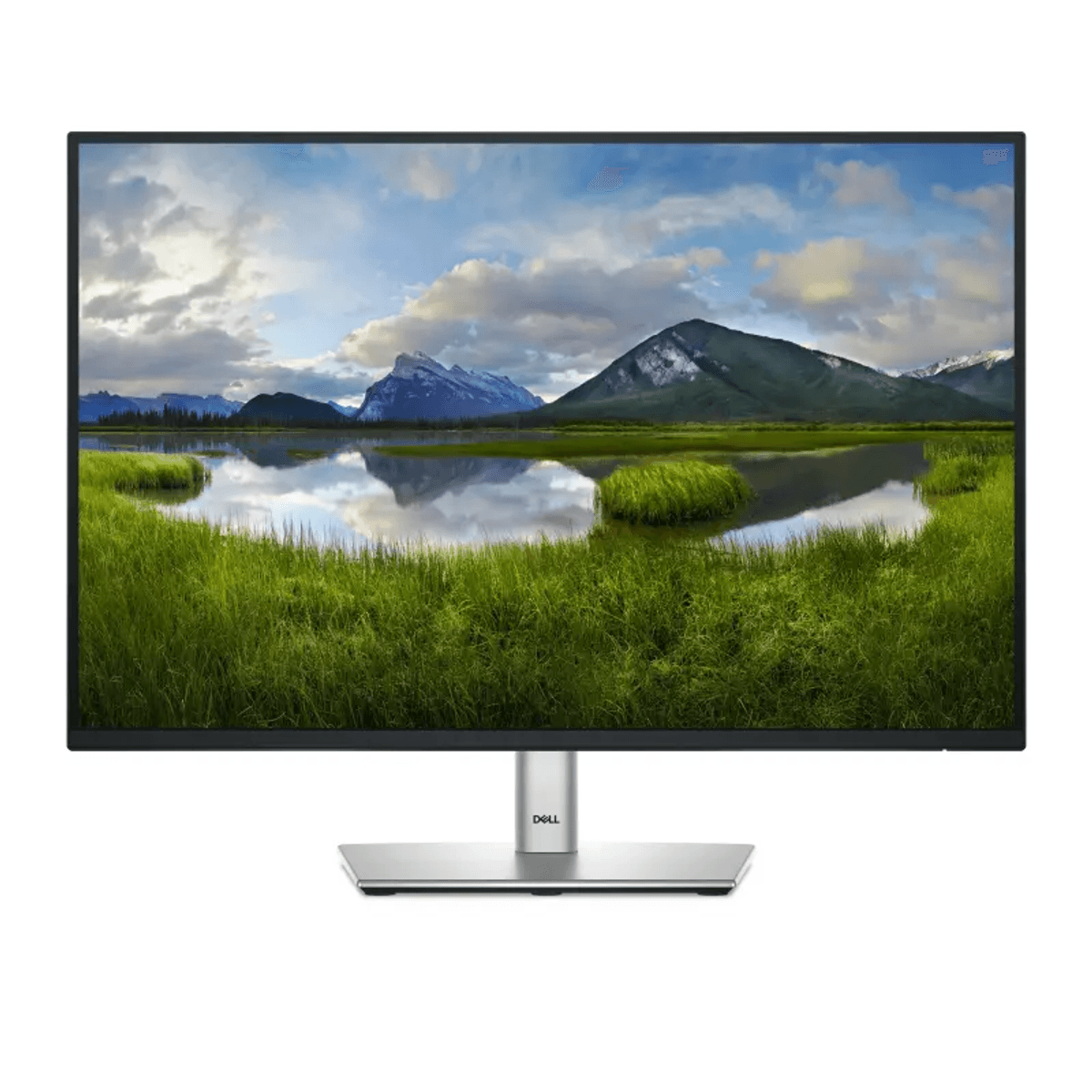 Un monitor Dell mostra un paesaggio con montagne, un lago e erba verde.