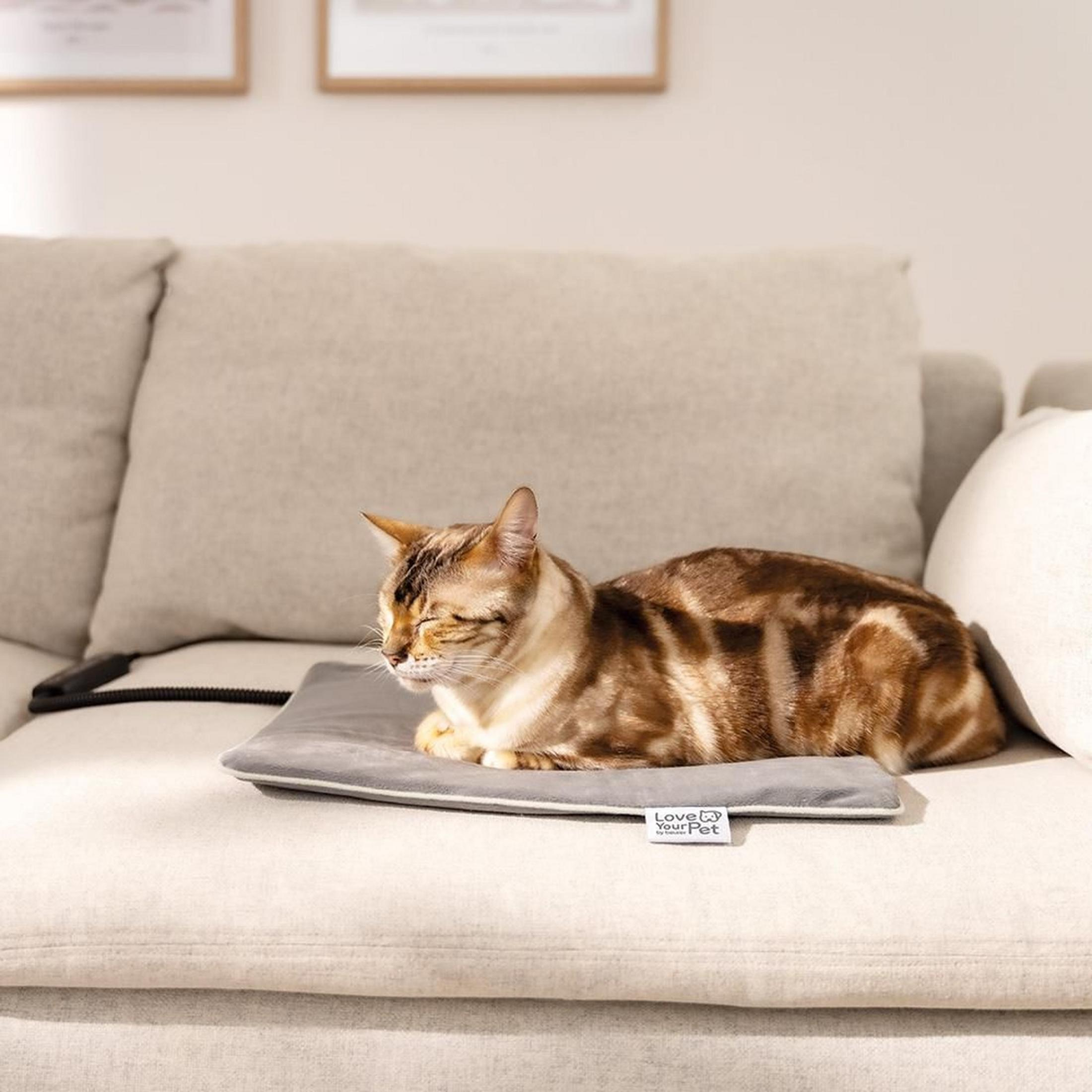 Eine braun getigerte Katze liegt auf einer grauen Heizmatte auf einem Sofa.