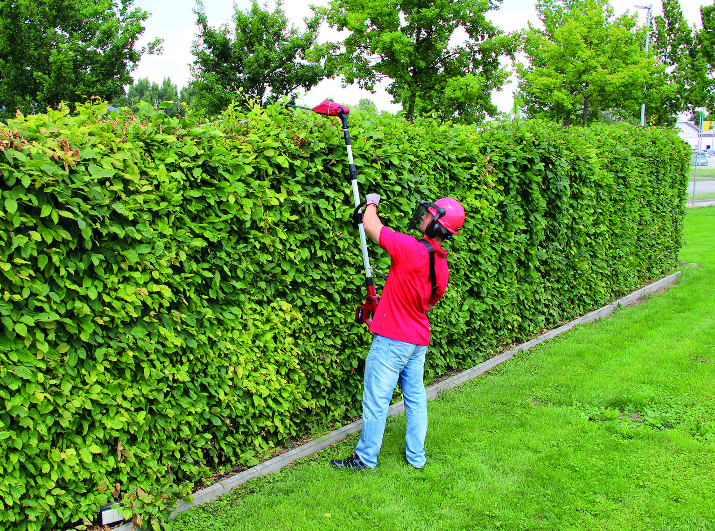 Mann schneidet Hecke mit Heckenschere. Mann trägt Helm und Schutzkleidung.