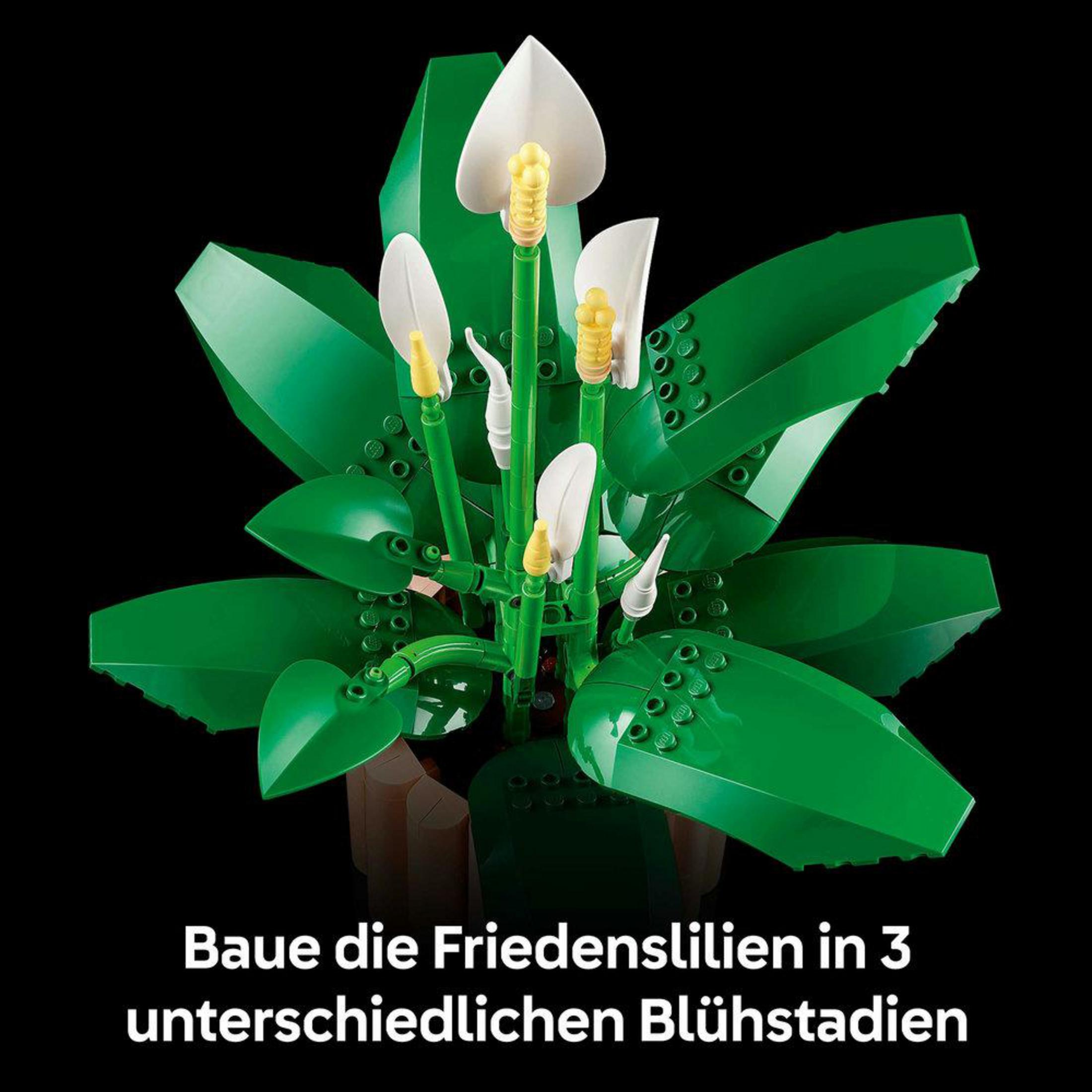 Lirio de la paz de Lego verde con flores blancas y estambres amarillos sobre fondo negro.