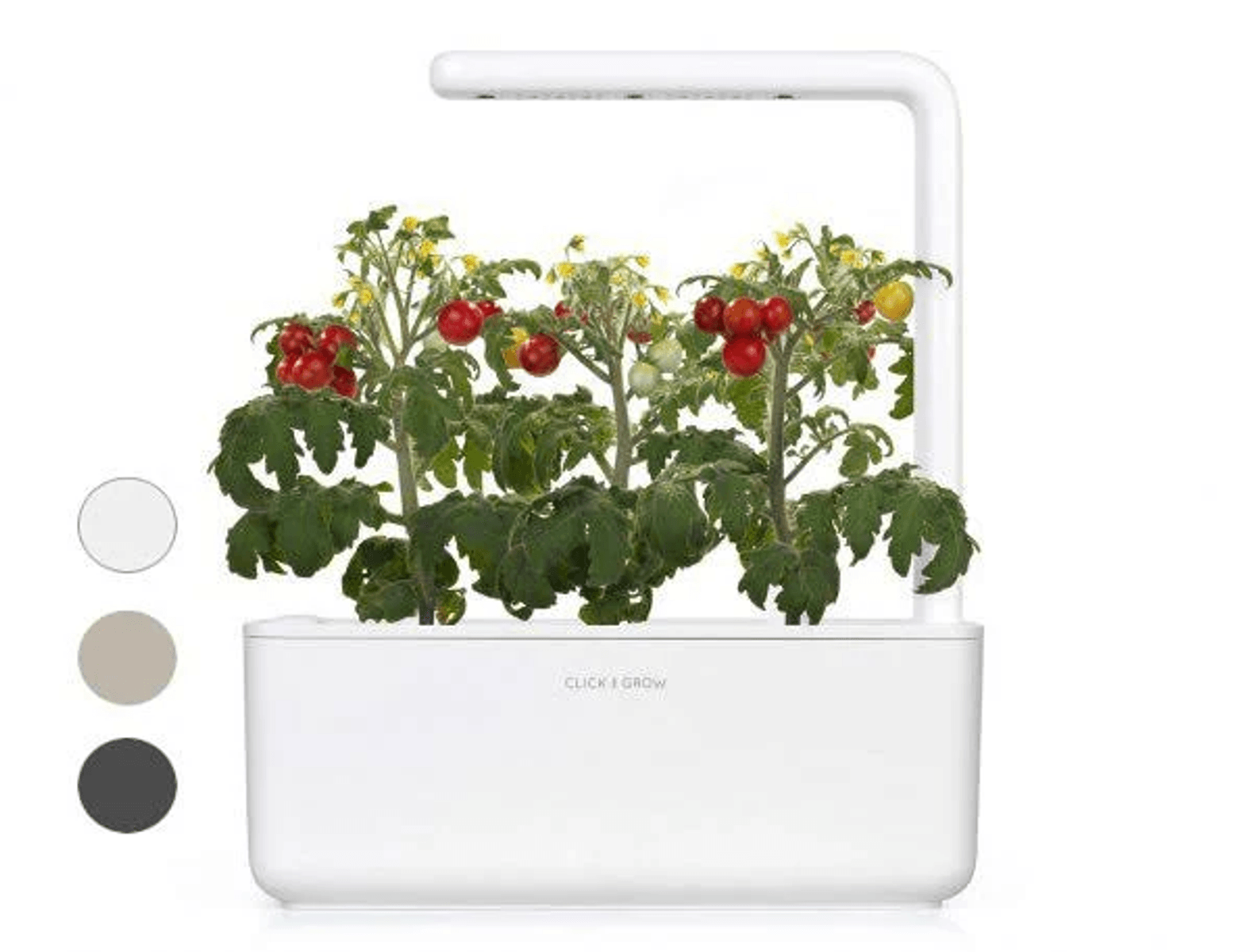 Giardino interno bianco con piante di pomodoro che portano frutti rossi e verdi sotto una luce di crescita.