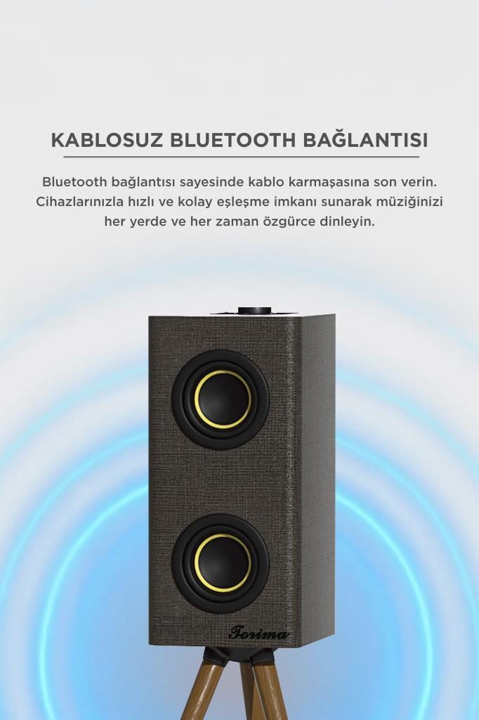 İki sürücülü siyah bir hoparlör ahşap bir tripod üzerinde duruyor.