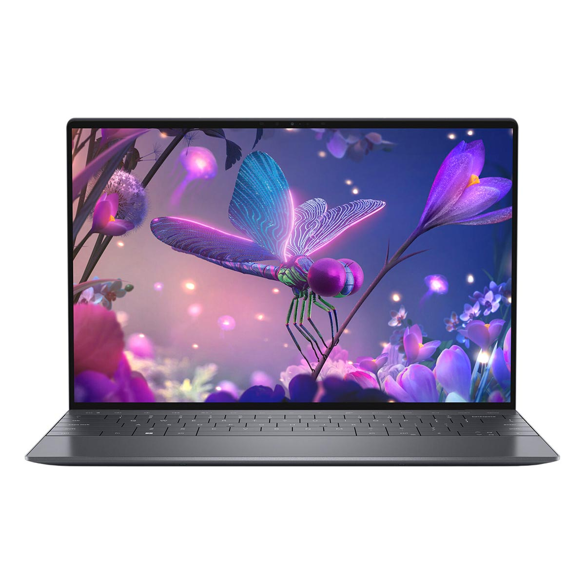 Laptop z żywą ważką i fioletowymi kwiatami na ekranie.