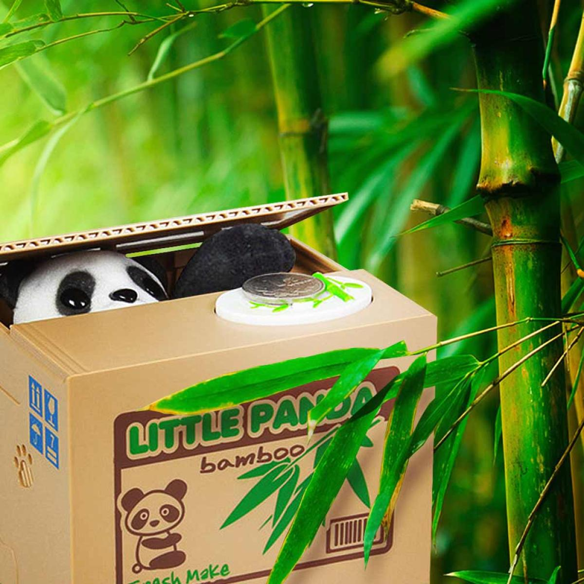 Een kartonnen panda spaarpot met een munt in een bamboebos.