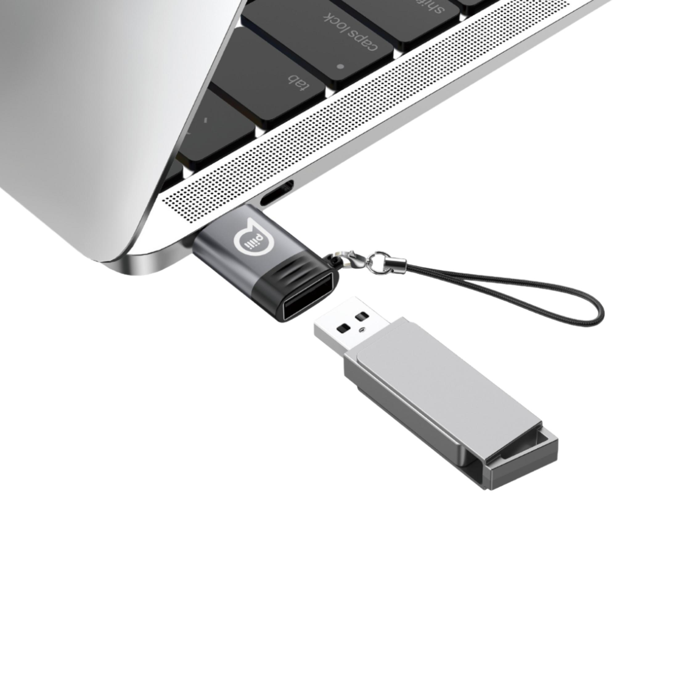 İki USB bellek, biri dizüstü bilgisayara takılı, diğeri yanında.