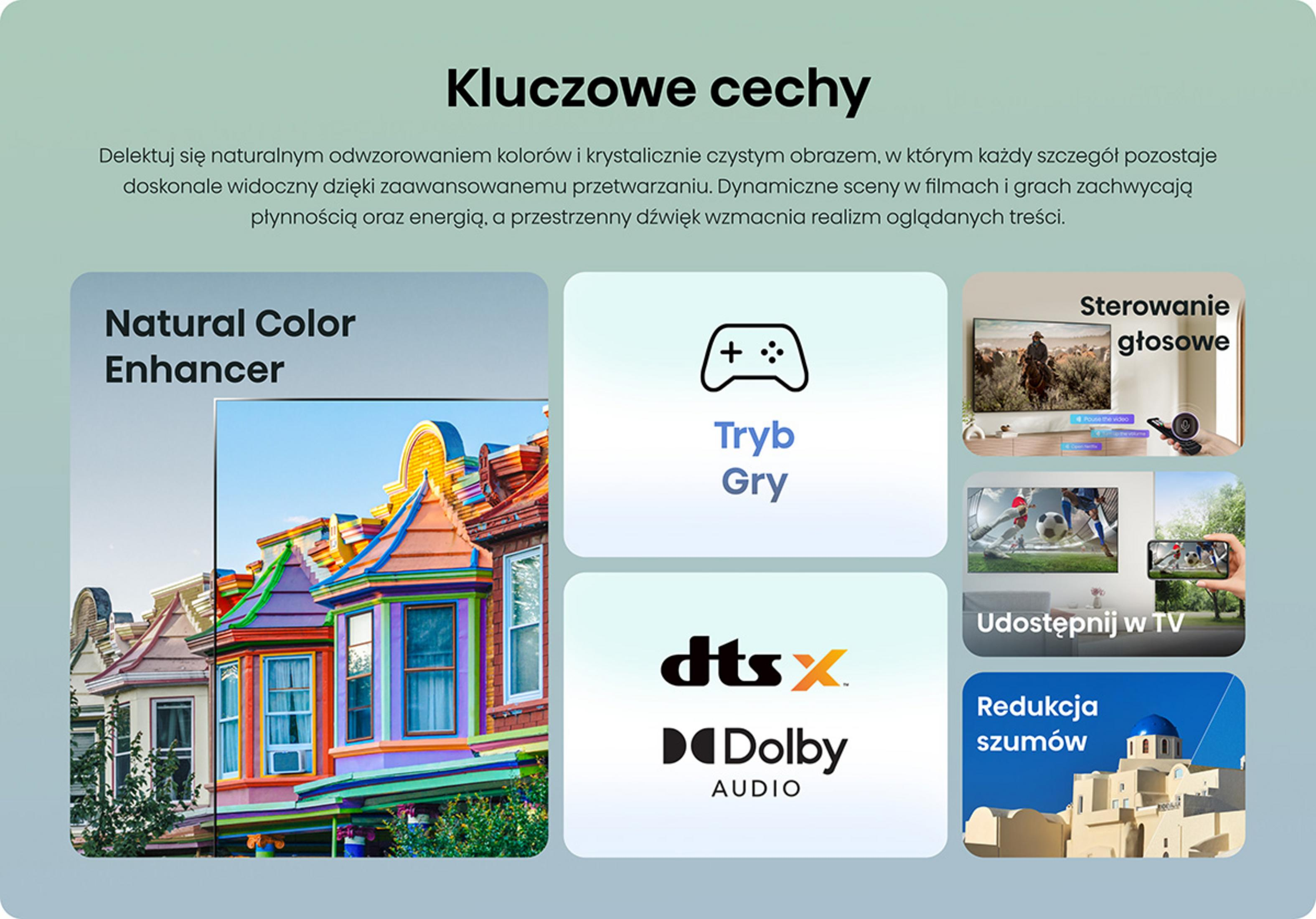 Funzionalità TV: Natural Color Enhancer, Modalità Gioco, Controllo Vocale, DTS:X, Dolby Audio, Condividi su TV, Riduzione del Rumore.
