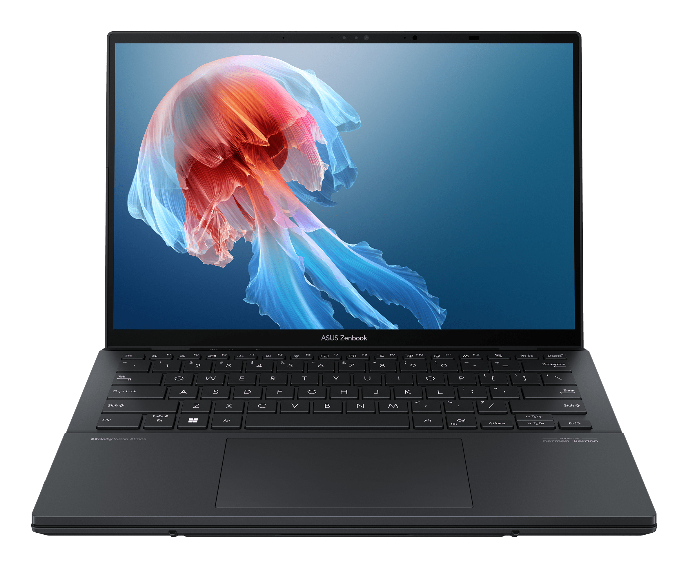 Un laptop aperto con uno sfondo di medusa vivace sullo schermo.