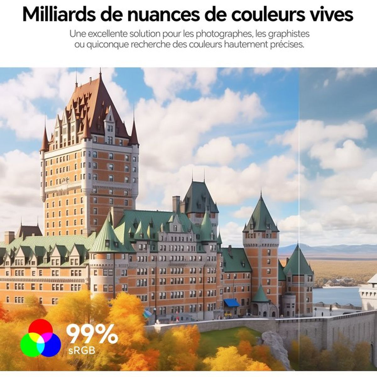 Un castello con fogliame autunnale e display a colori 99% sRGB.