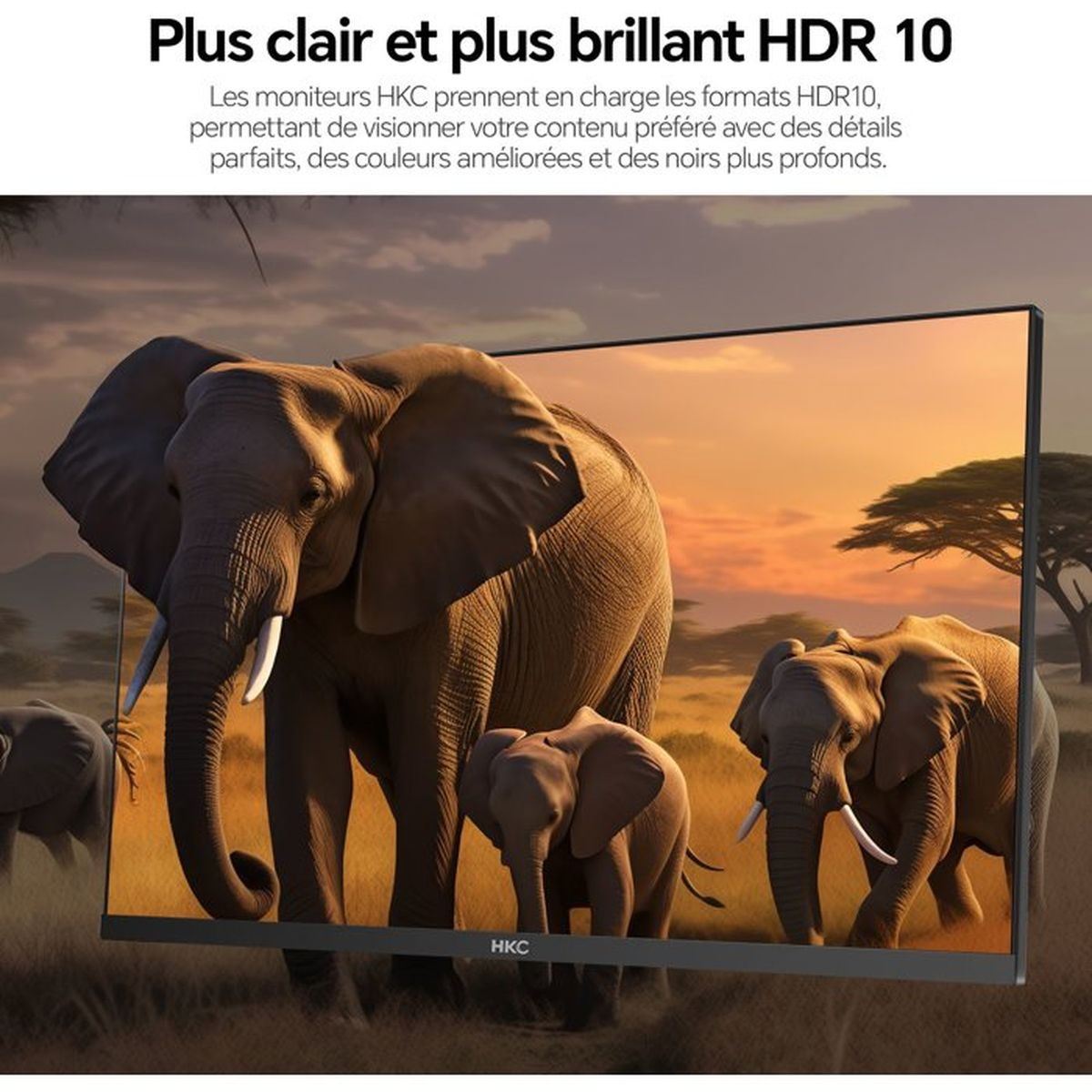 Un monitor mostra una famiglia di elefanti in un paesaggio di savana al tramonto.