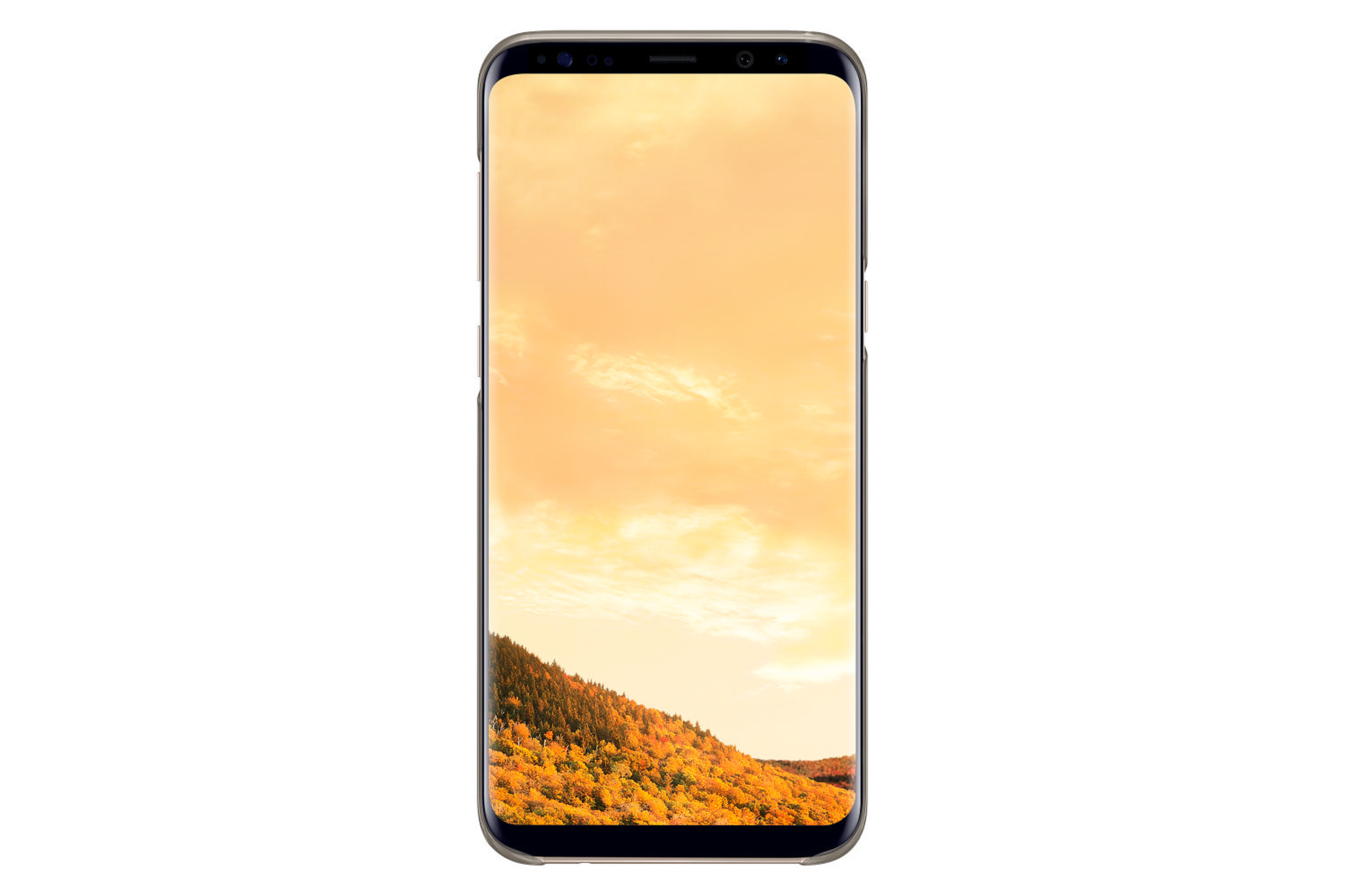 Uno smartphone mostra una foresta autunnale sotto un cielo arancione.