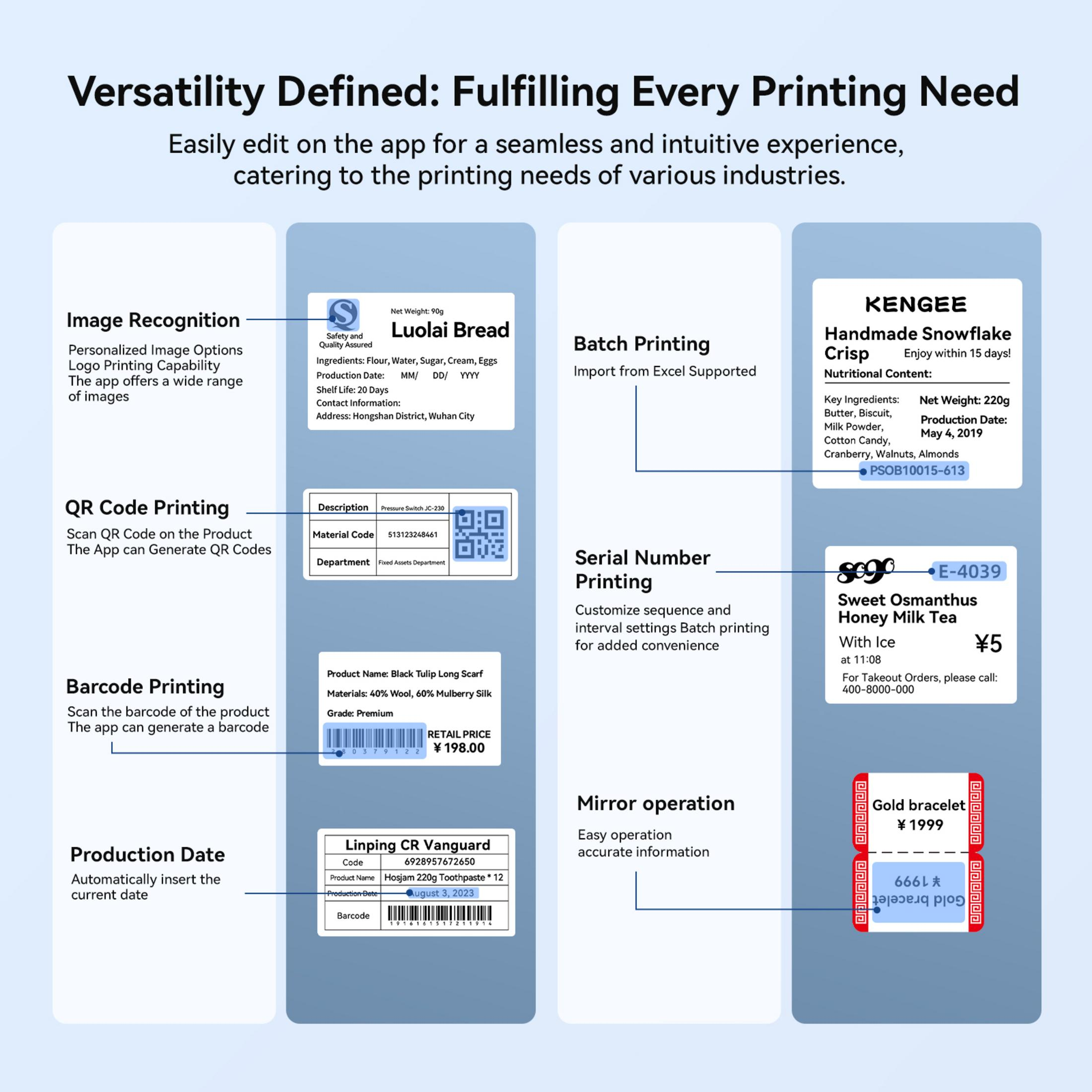 Infografik mit Druck-App-Funktionen: Bild, QR, Barcode, Batch, Seriennummer, Produktionsdatum, Spiegel.