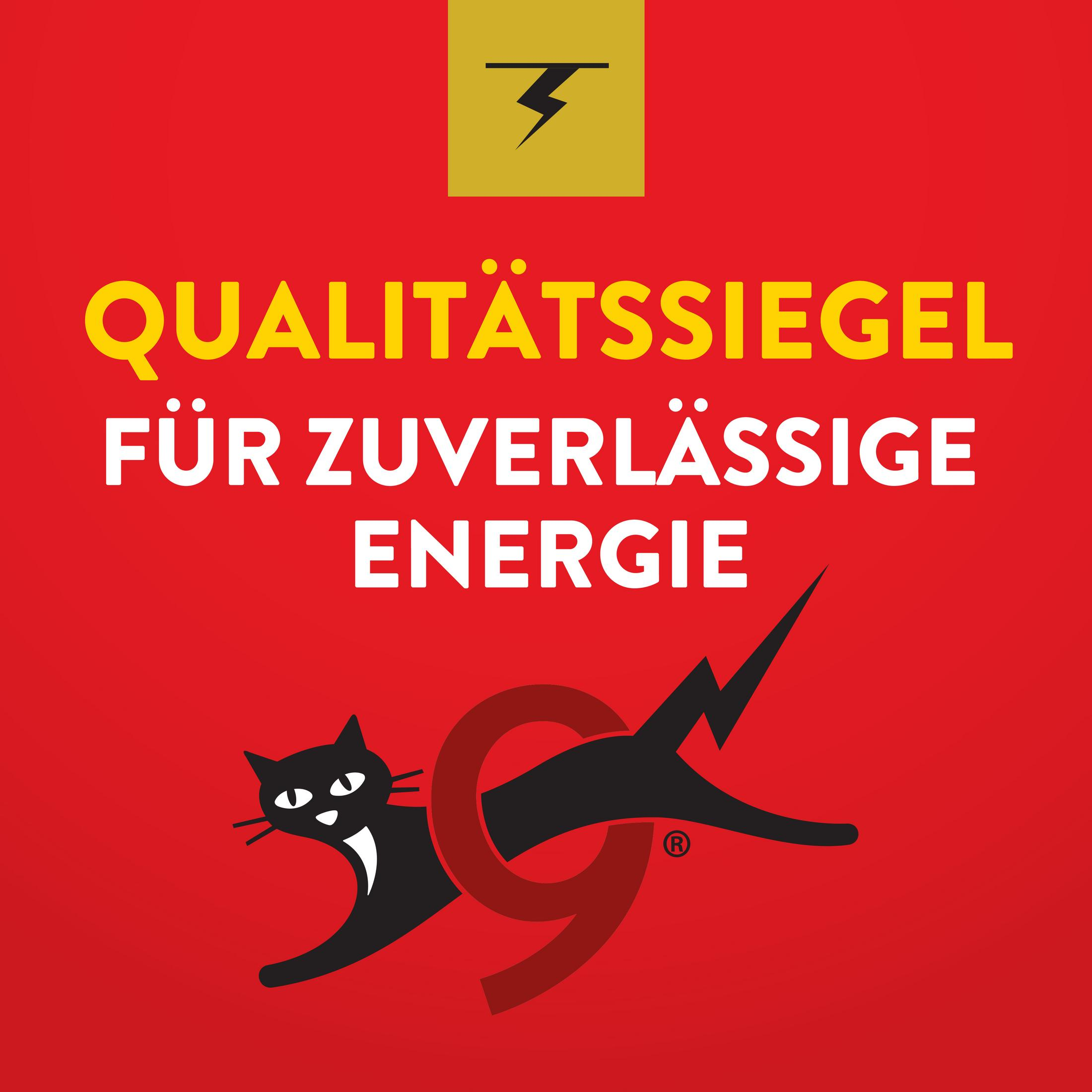 BATTERIA ENERGIZER E304402302, primaria AAA alcalina, 1,5 V, , PER Telecomandi