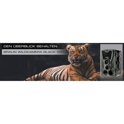 Ein Tiger liegt vor einem dunklen Hintergrund, daneben eine Wildkamera.