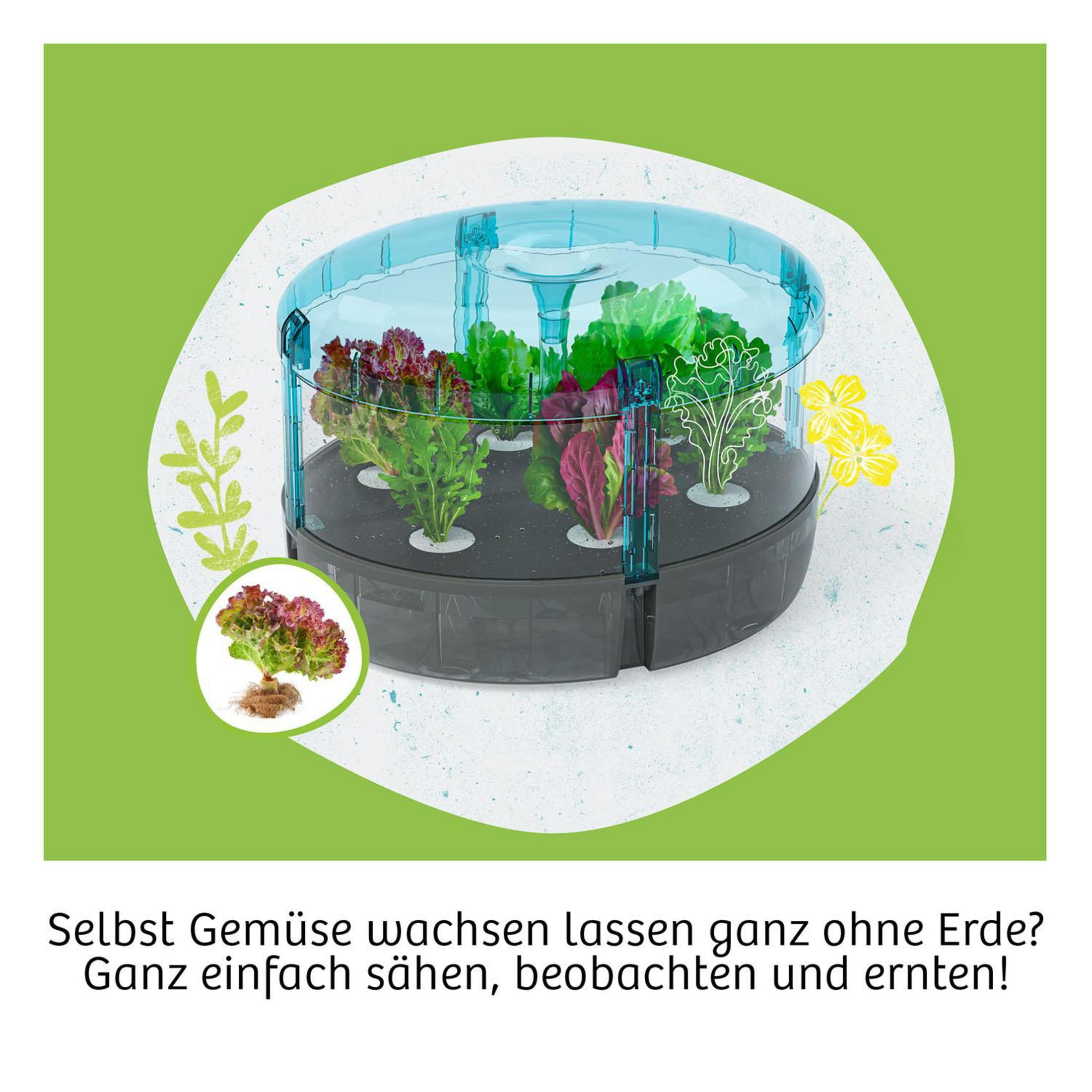 Hydroponisches Anbausystem mit Salat, Kräutern und Blumen.