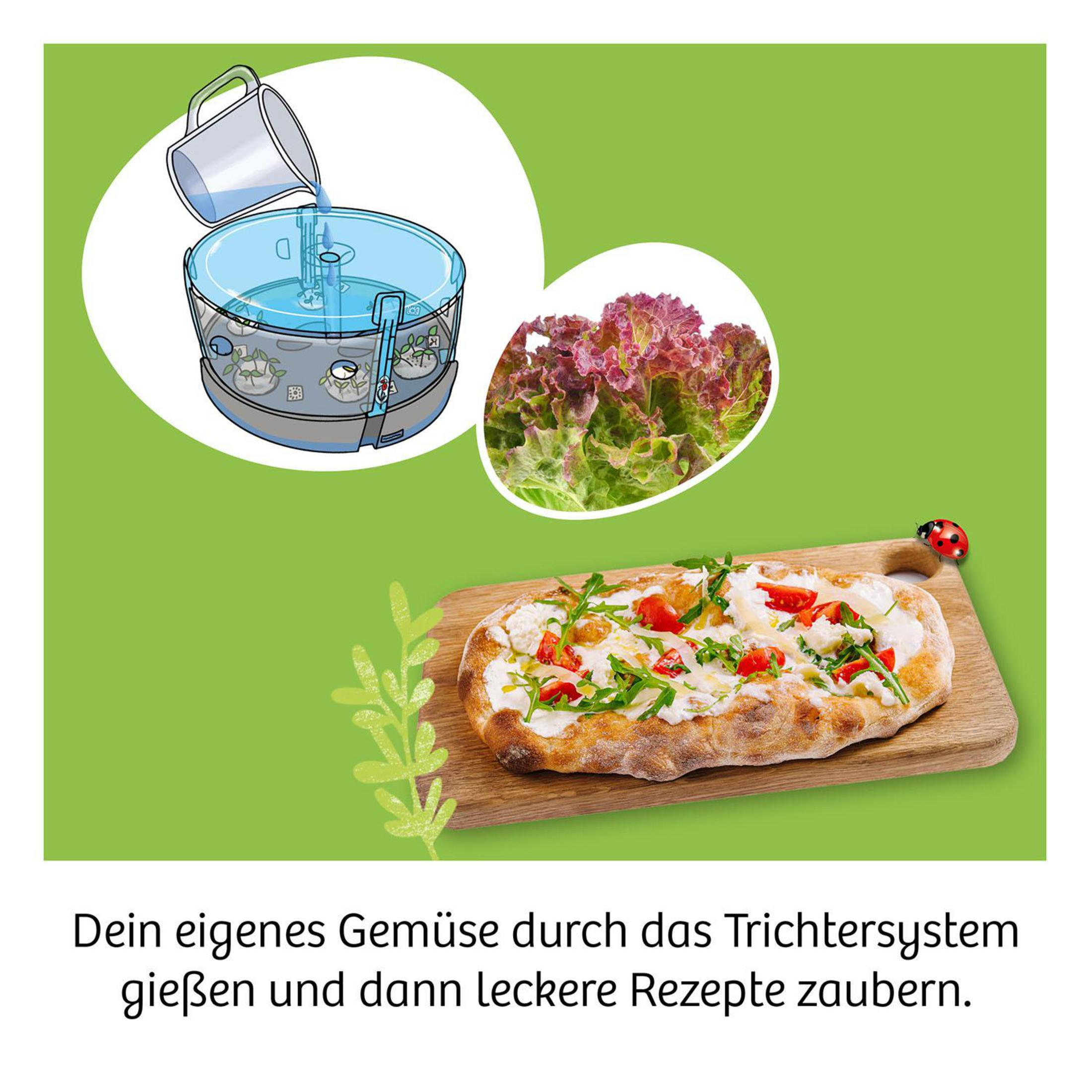 Gießkanne trichtert Wasser in ein System, daneben Salat und eine Pizza. Marienkäfer krabbelt.