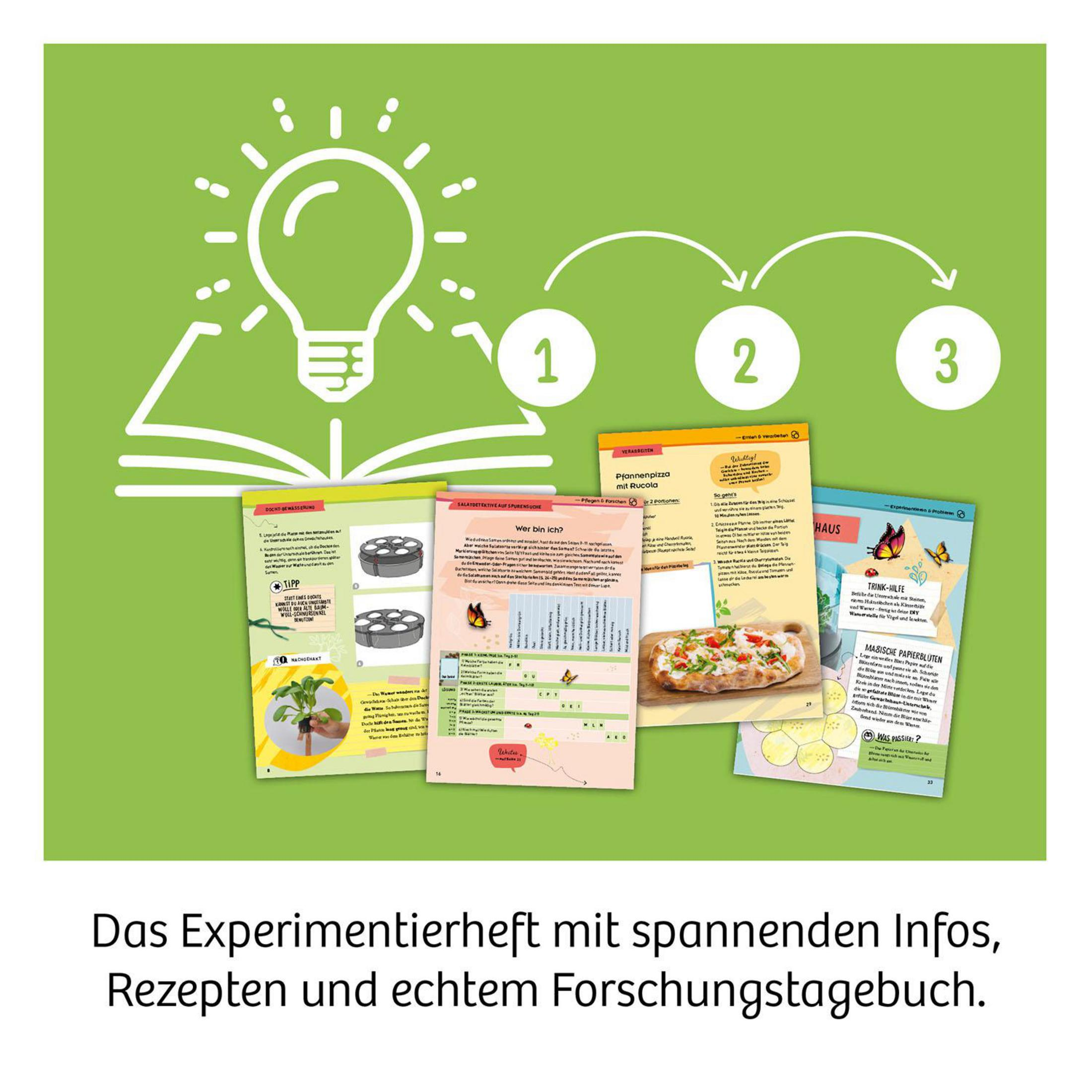 Ein aufgeschlagenes Buch mit einer Glühbirne und Schritten 1-3. Mehrere Heftseiten mit Experimenten.