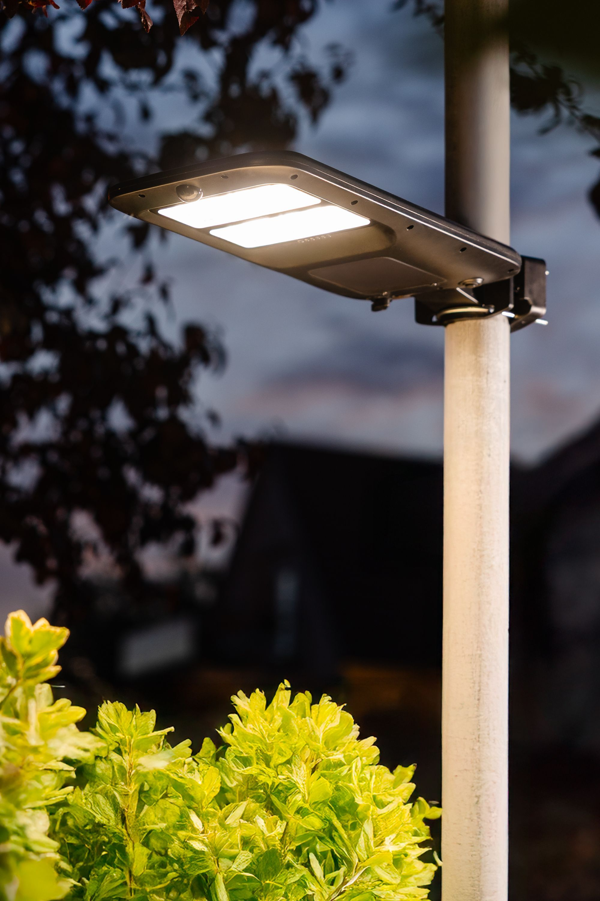 Una lampada solare su un palo brilla al crepuscolo sopra i cespugli.