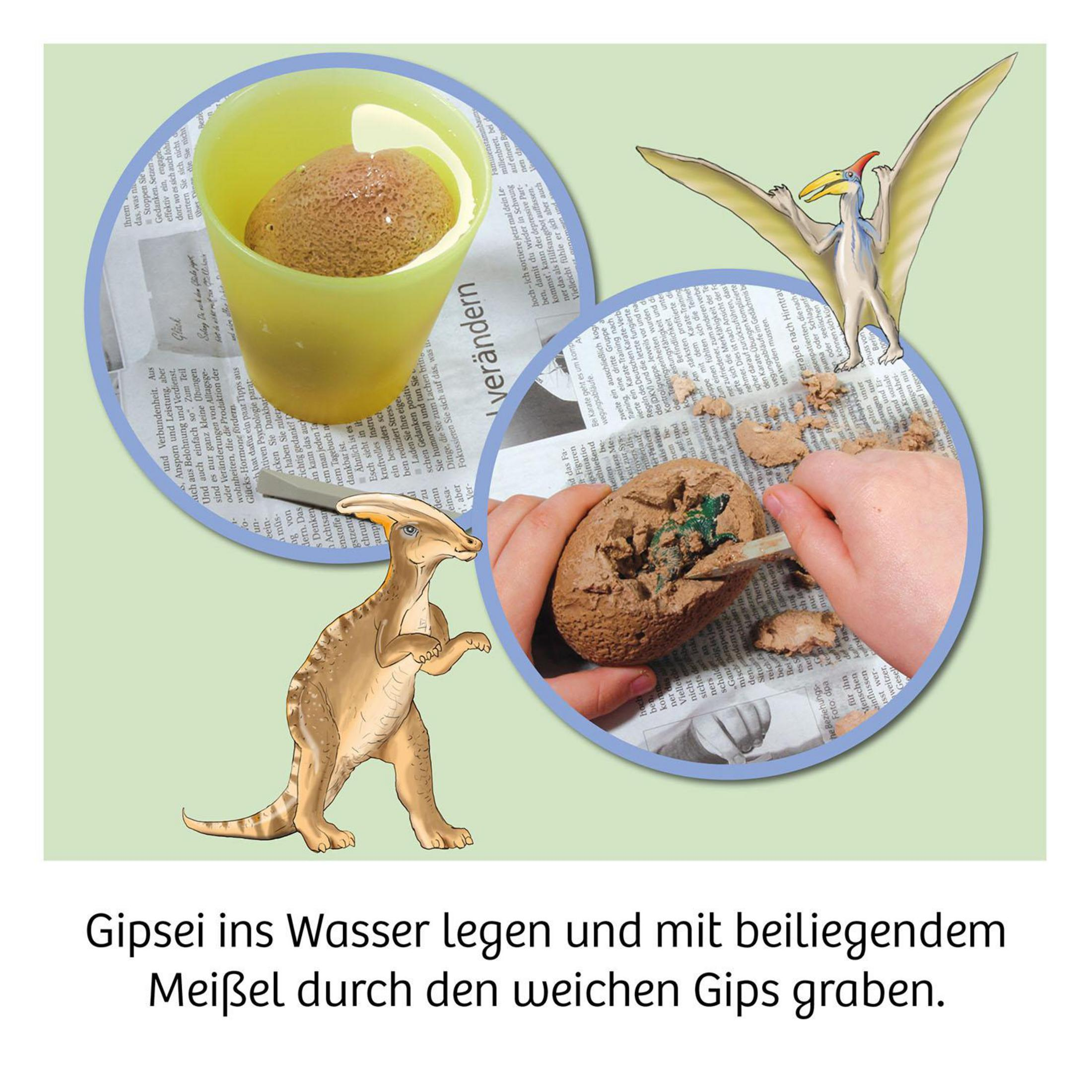 Ein Dinosaurier-Ei wird ausgegraben. Ein Pterodaktylus fliegt.