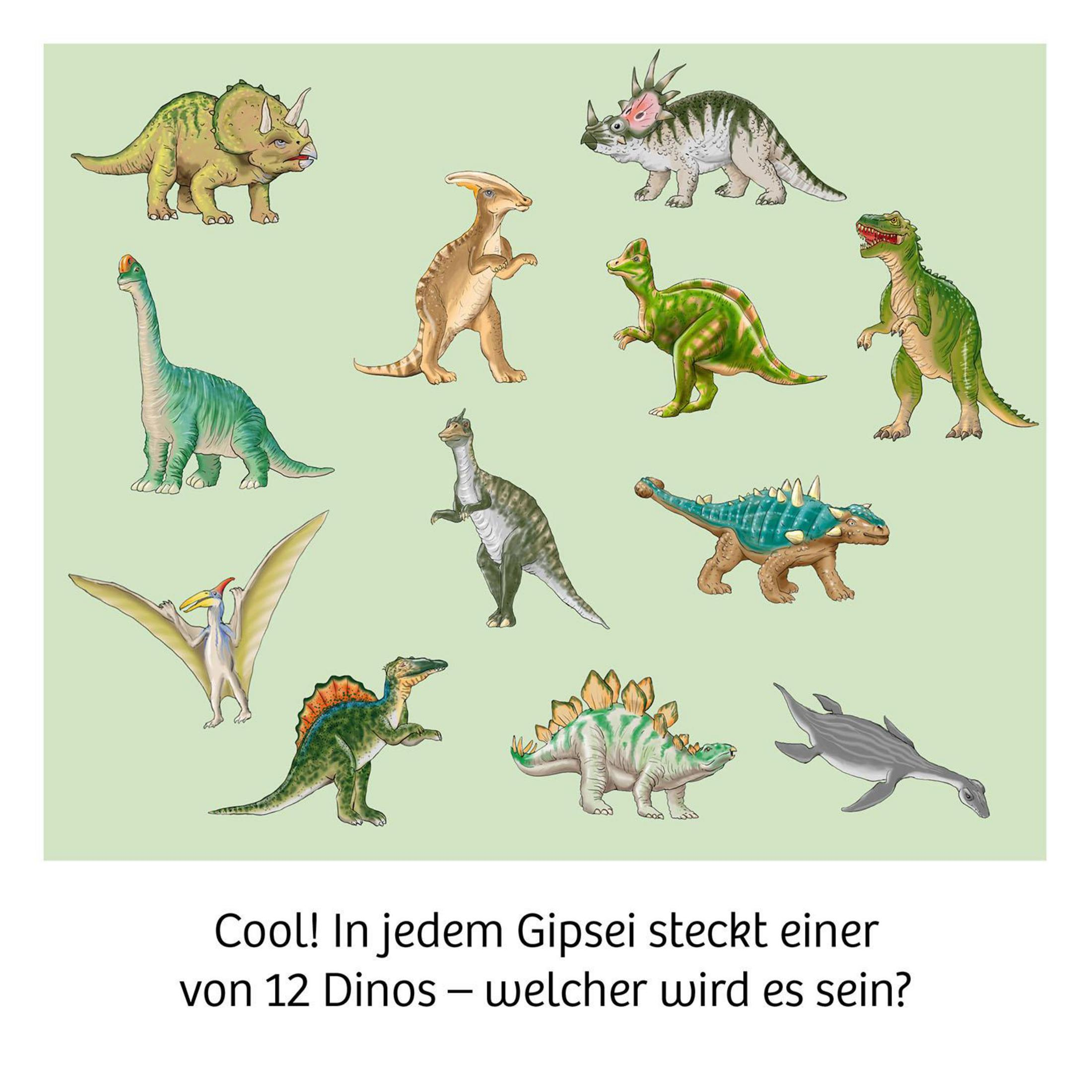 Elf verschiedene Dinosaurier und ein Flugsaurier auf hellgrünem Hintergrund.